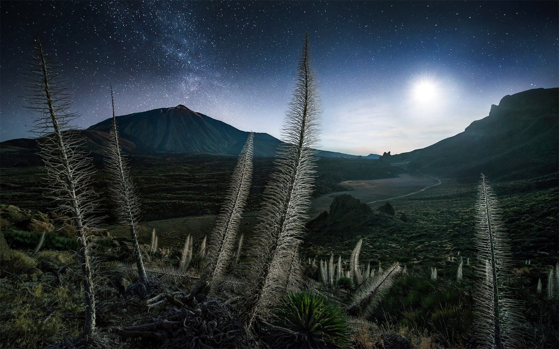 beauty in nature, architecture, Milky way, sky, Tenerife, night, outdoors, plant, land, tranquility, Max Rive, idyllic, mountain, moonlight, environment, HD Wallpaper