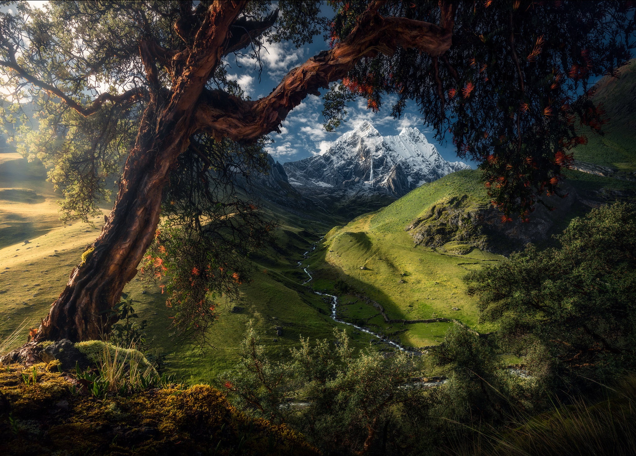 meadows, 1080P, hills, nature, trees, mountains, snow, landscape, summer, Peru, glaciers, Max Rive, valley, HD Wallpaper