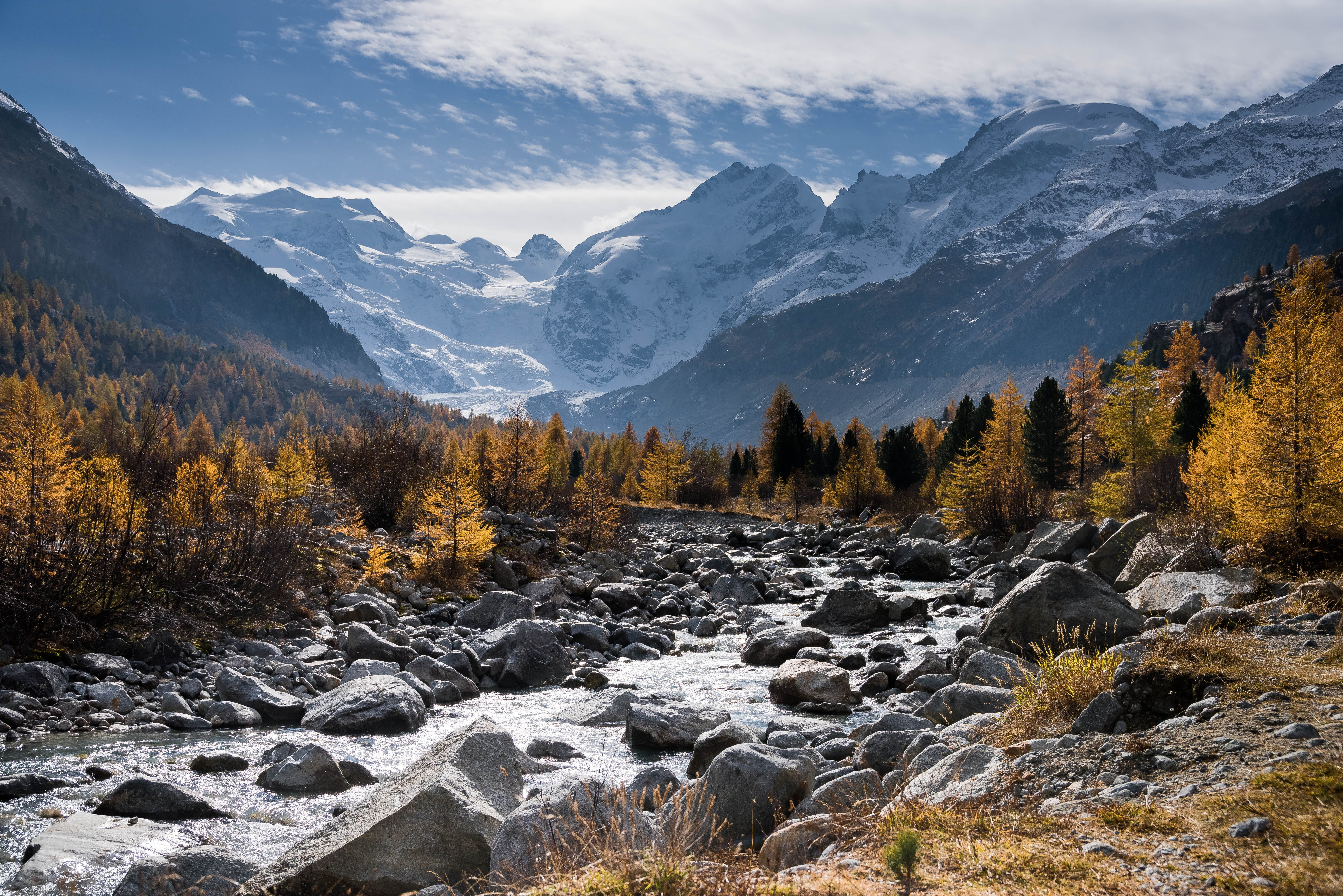 tree, nature, pine tree, fall color, plant, snowcapped mountain, 5K, sky, outdoors, rock - object, winter, scenics - nature, solid, cloud - sky, land, HD Wallpaper