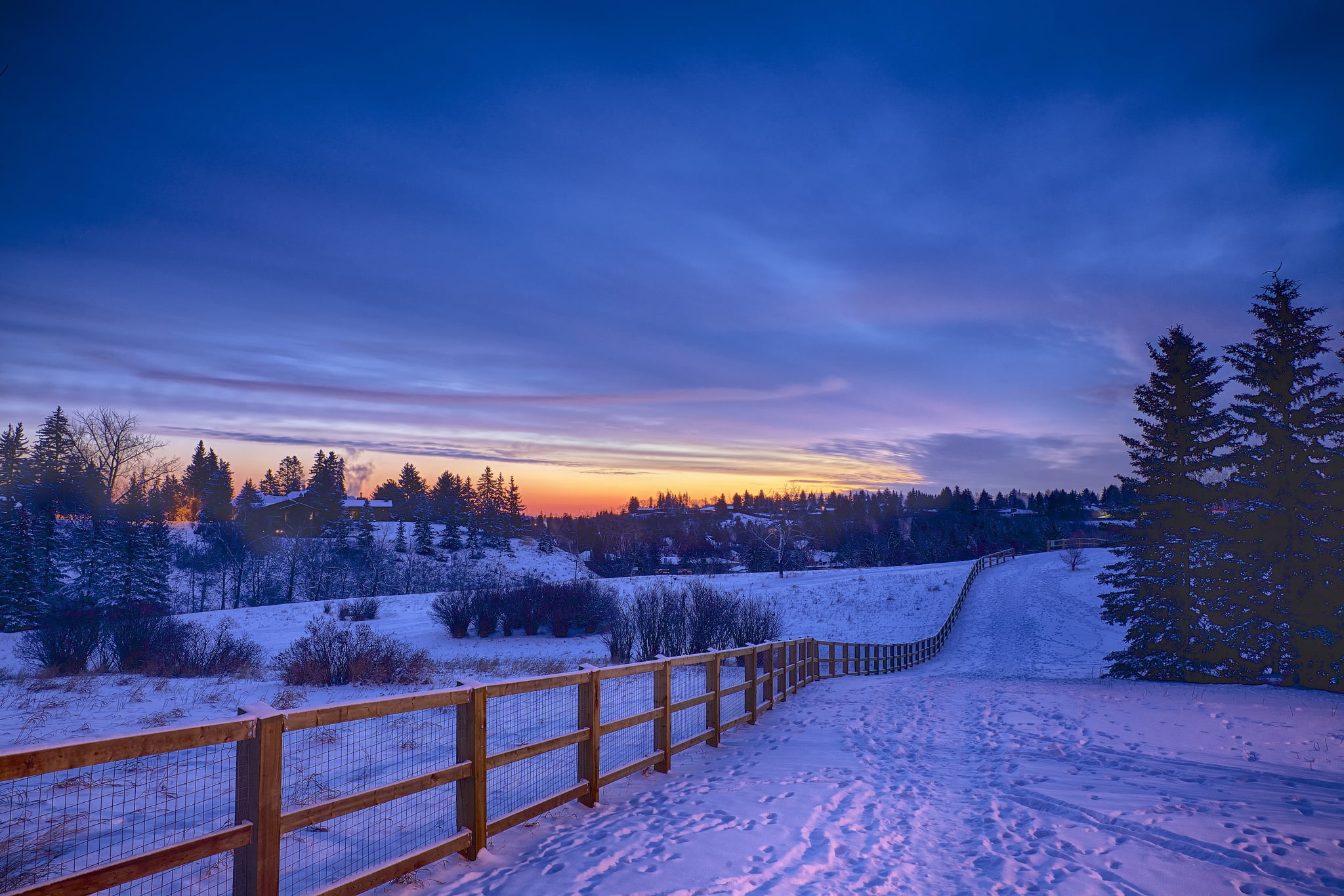 larch, sunset, blue, cold temperature, europe, no People, white, sun, morning, woodland, rural Scene, snow, hill, season, outdoors, cold - Temperature, HD Wallpaper