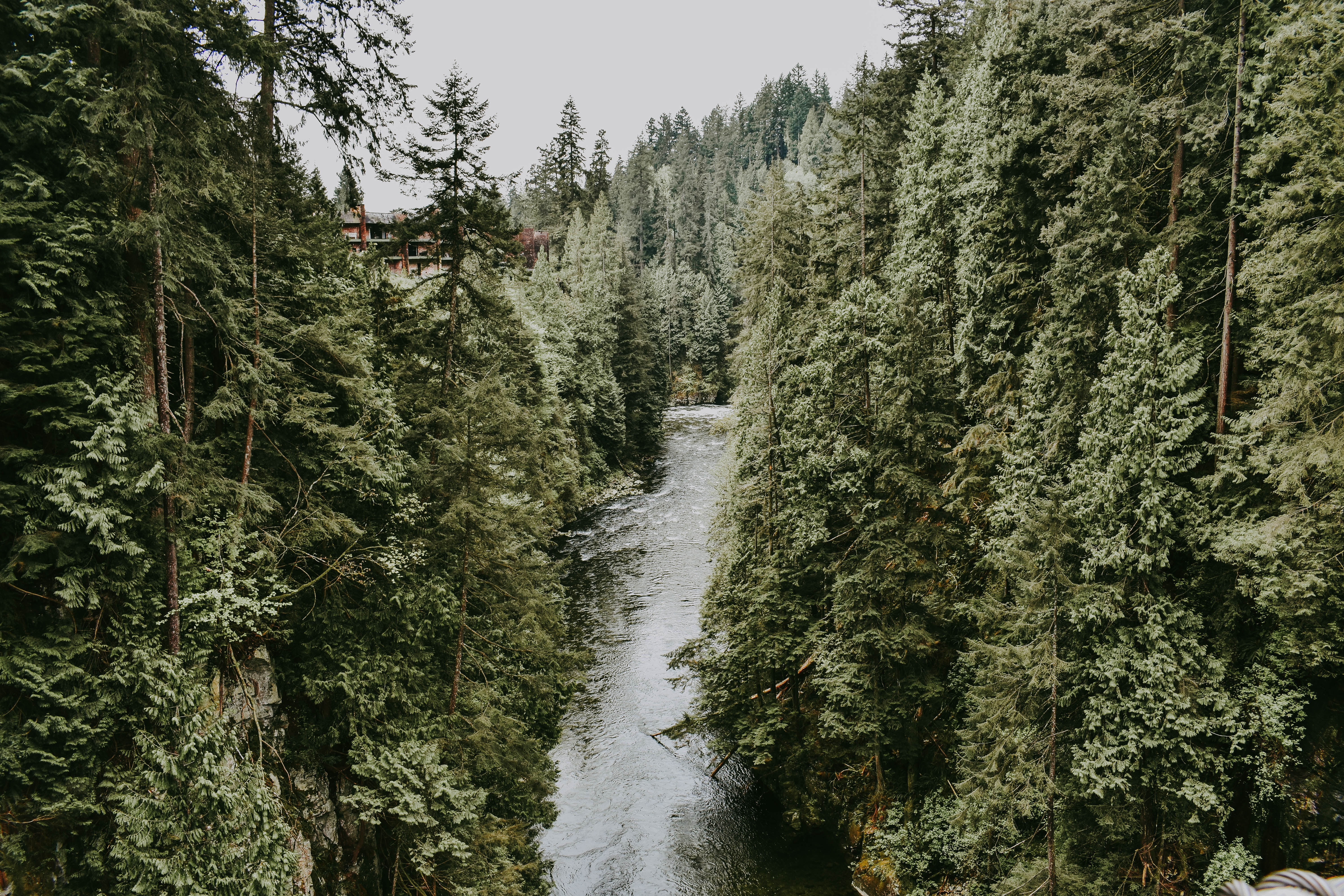 remote, outdoors, forest, environment, stream, tranquil scene, river, flowing water, mountain, scenics, 5K, nature, no People, beauty In Nature, scenics - nature, HD Wallpaper