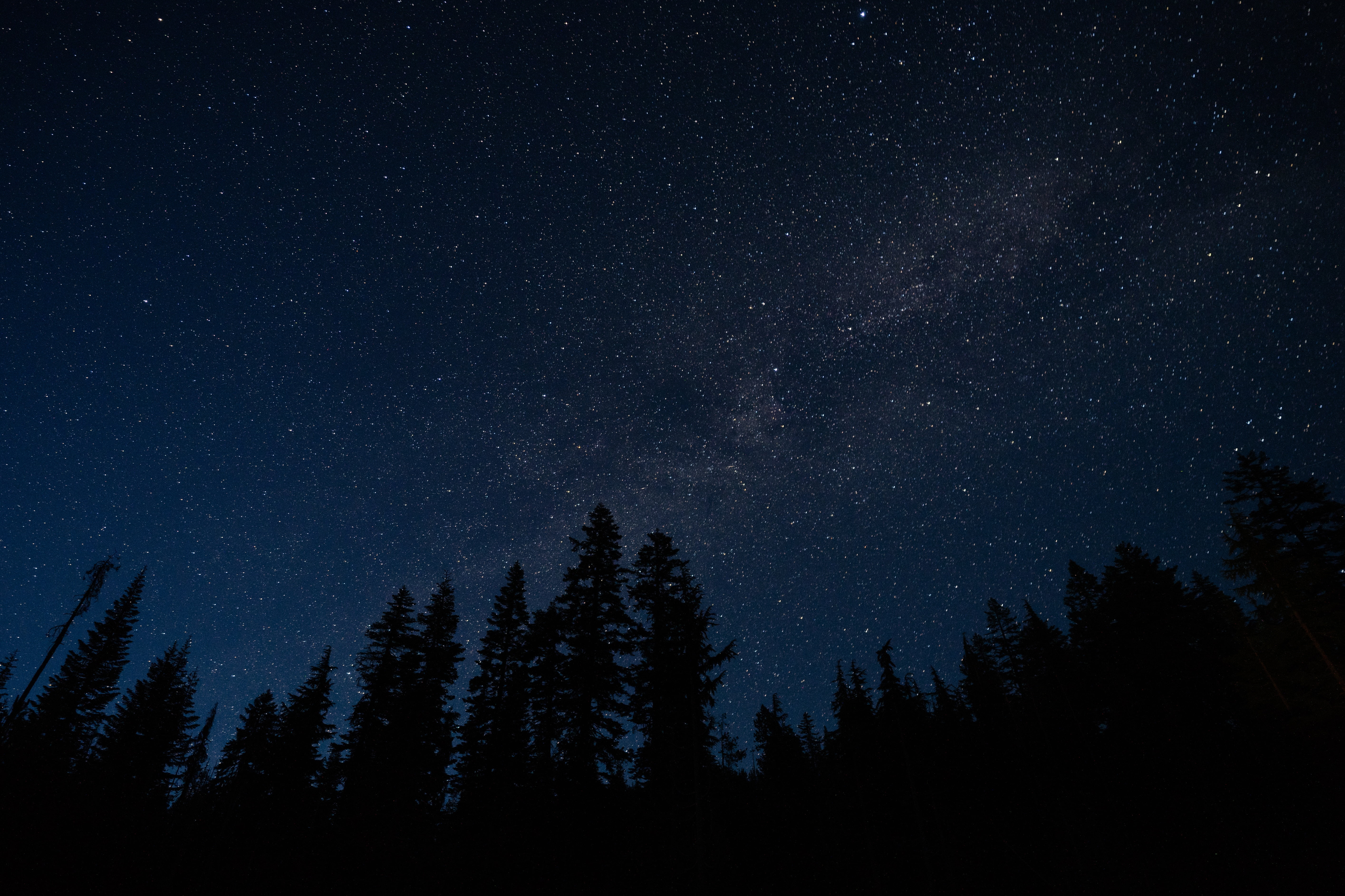 astronomy, radiance, starry sky, silhouette, moon, star, larch, low angle view, scenics - nature, space, scenics, winter, snow, no People, night, milky Way, HD Wallpaper