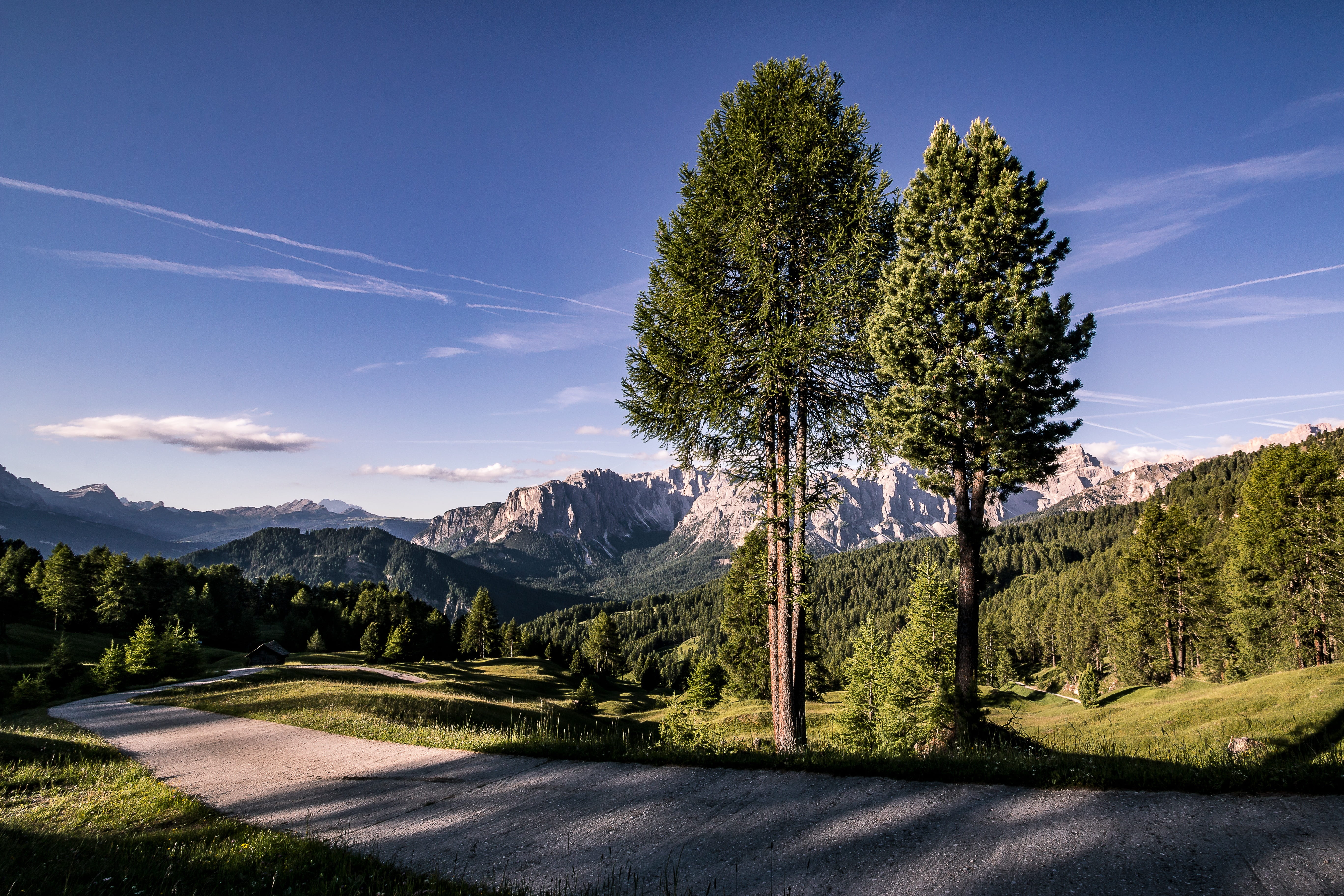 hill, blue, land, plant, meadow, mountains, tranquil scene, pine woodland, south tyrol, non-Urban Scene, zirm, blue sky, beauty In Nature, grass, Trees, HD Wallpaper