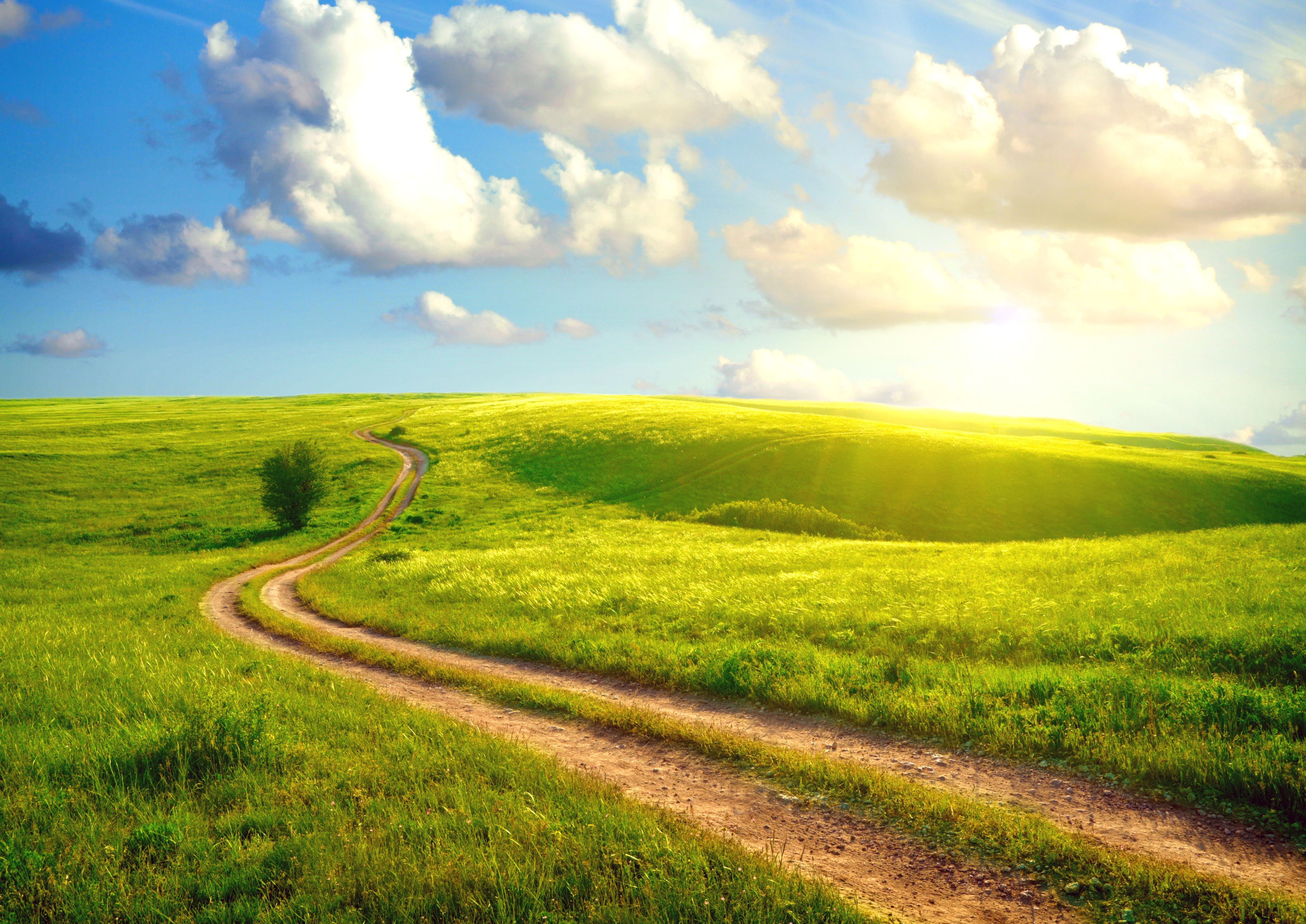 horizon Over Land, summer, single Lane Road, no People, sun, blue, plant, forest, europe, village, rolling landscape, plain, pasture, transportation, italy, HD Wallpaper