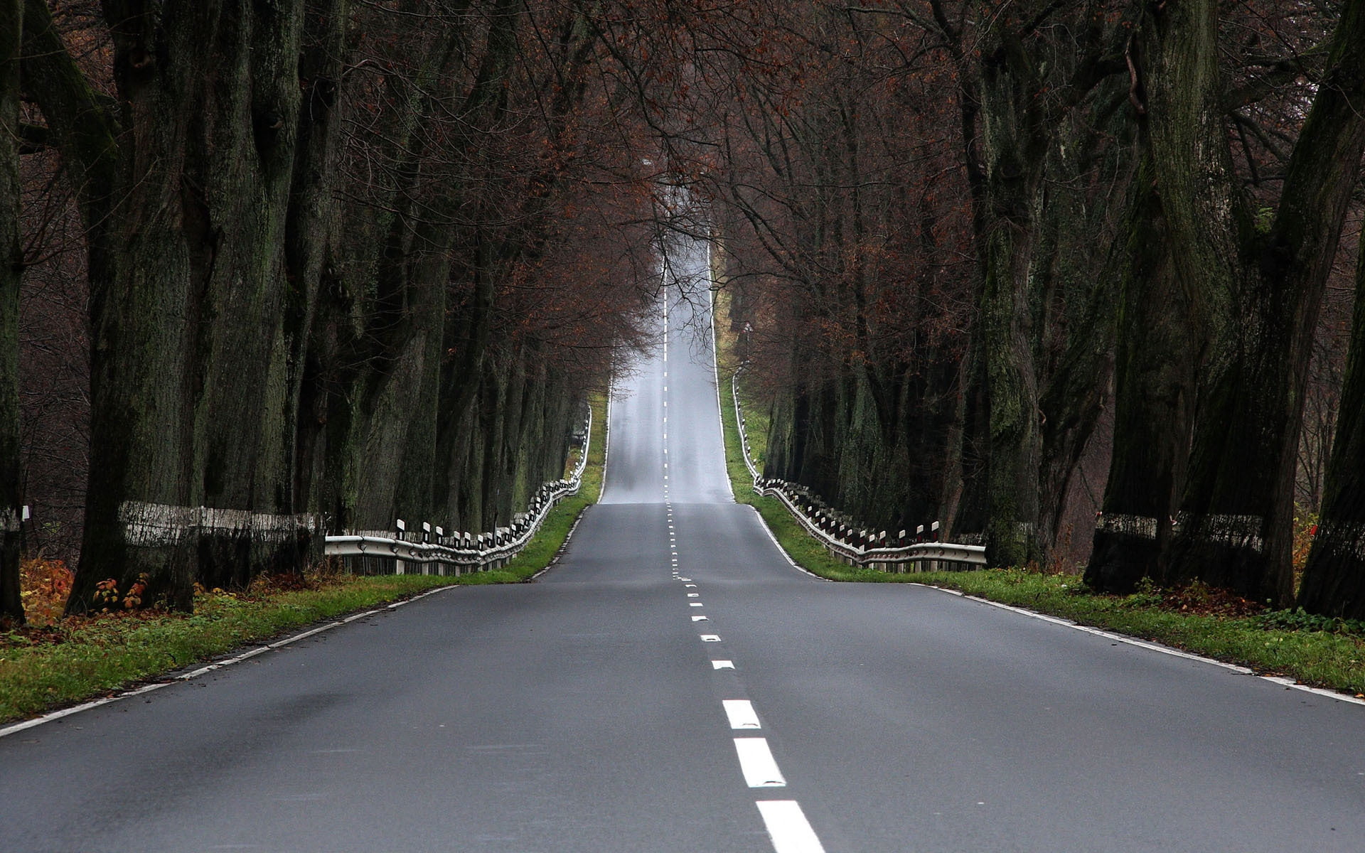 landscape, beauty In Nature, road marking, transportation, park - Man Made Space, travel, autumn, country Road, scenics, plant, nature, day, faltering, HD Wallpaper
