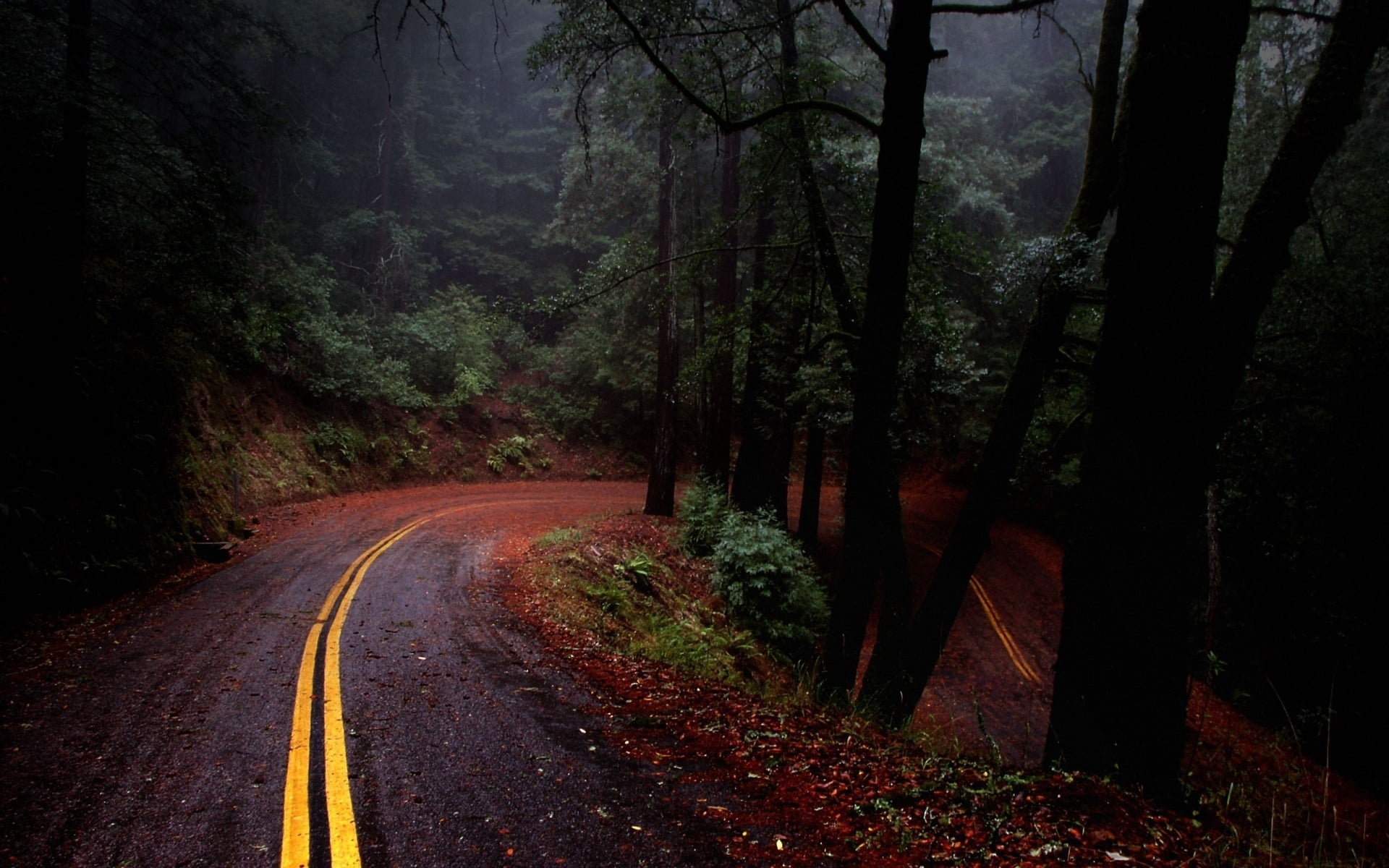 color Image, symbol, wood, road marking, street, tranquility, autumn, trees, asphalt, day, beauty In Nature, outdoors, season, tranquil scene, dirt Road, HD Wallpaper
