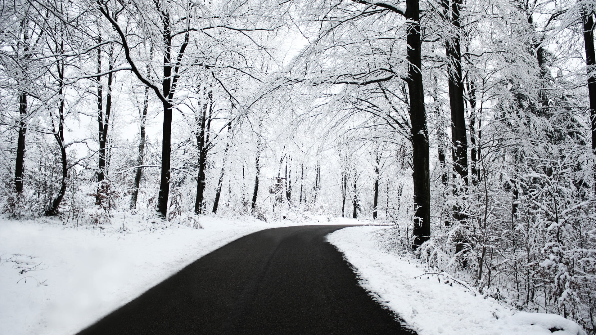 country Road, frozen, bare tree, cold - Temperature, transportation, landscape, diminishing perspective, street, travel, road, woodland, season, nature, HD Wallpaper