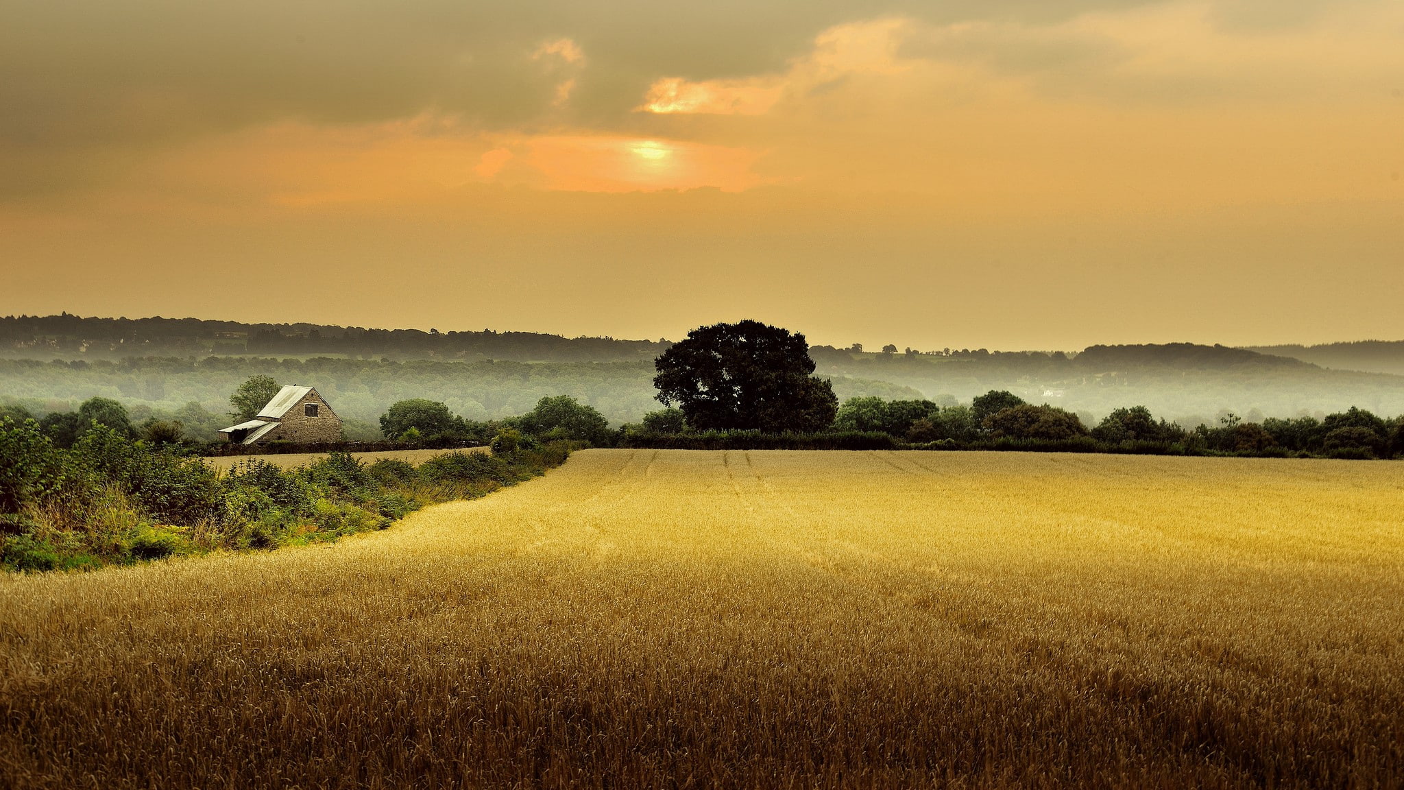 no people, landscape, Field, plant, growth, land, scenics - nature, Gloucestershire, tranquil scene, rural scene, beauty in nature, environment, agriculture, HD Wallpaper