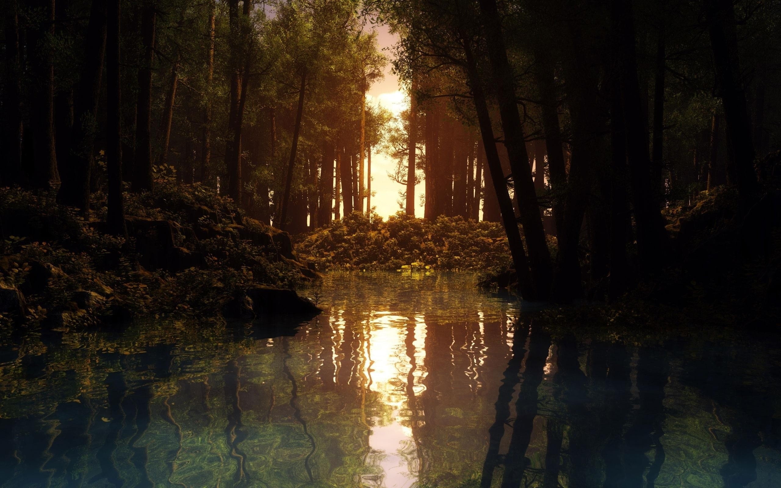 2K, water, swamp, nature, trees, HD Wallpaper