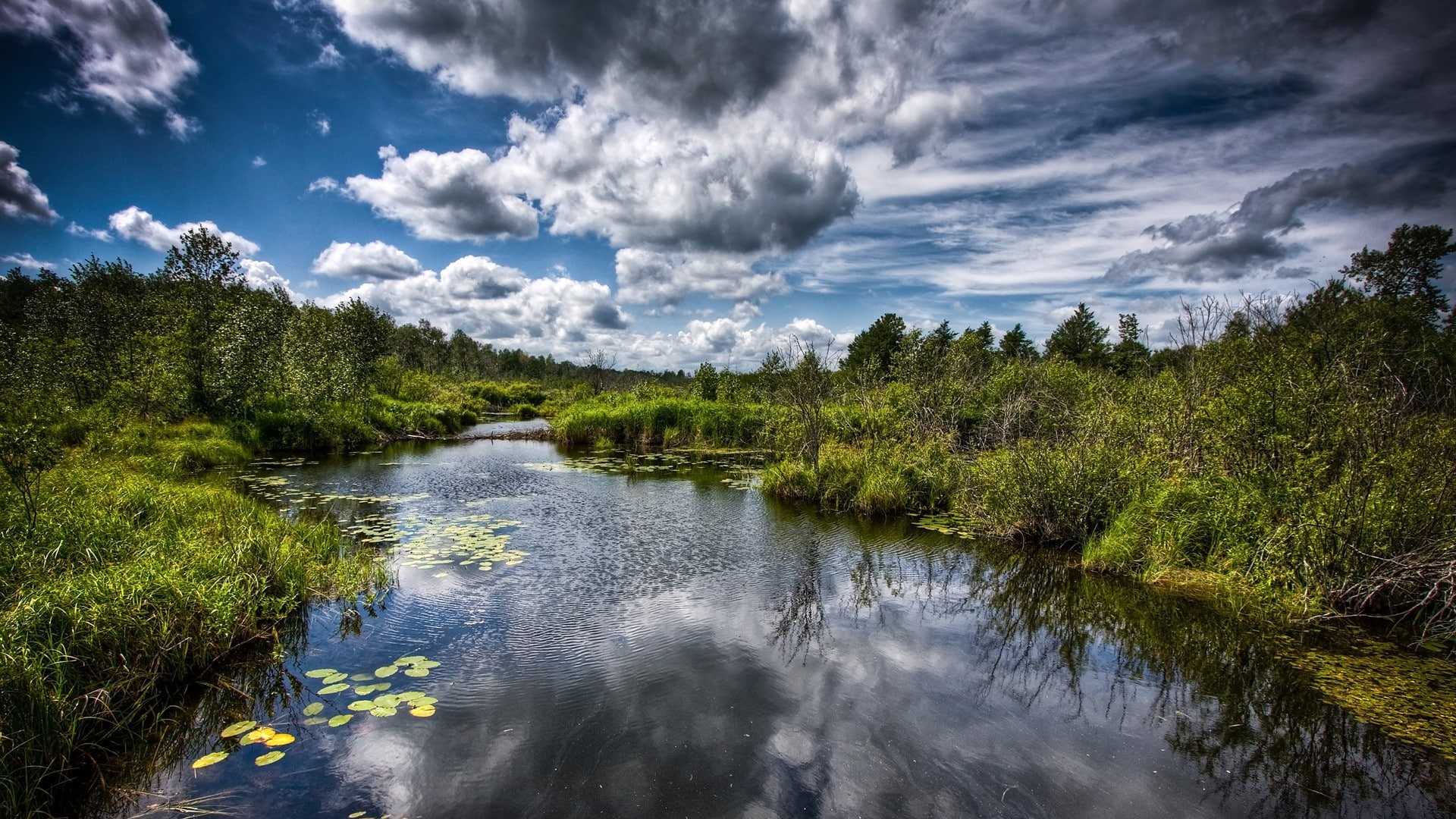 wilderness, landscape, swamp, 1080P, river, nature, HD Wallpaper