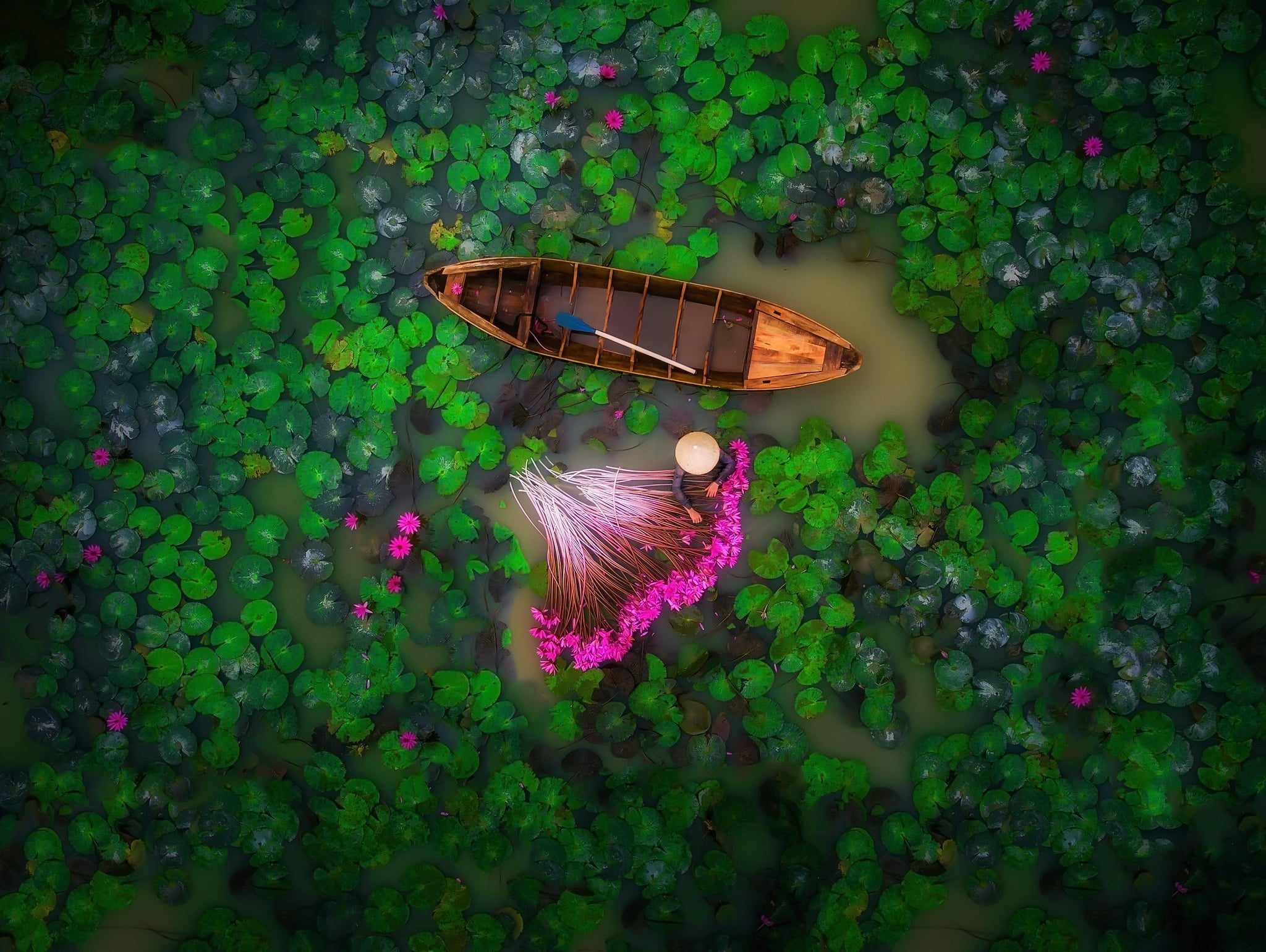 water, 1080P, paddle, boat, lake, Lotus, swamp, flowers, river, people, HD Wallpaper