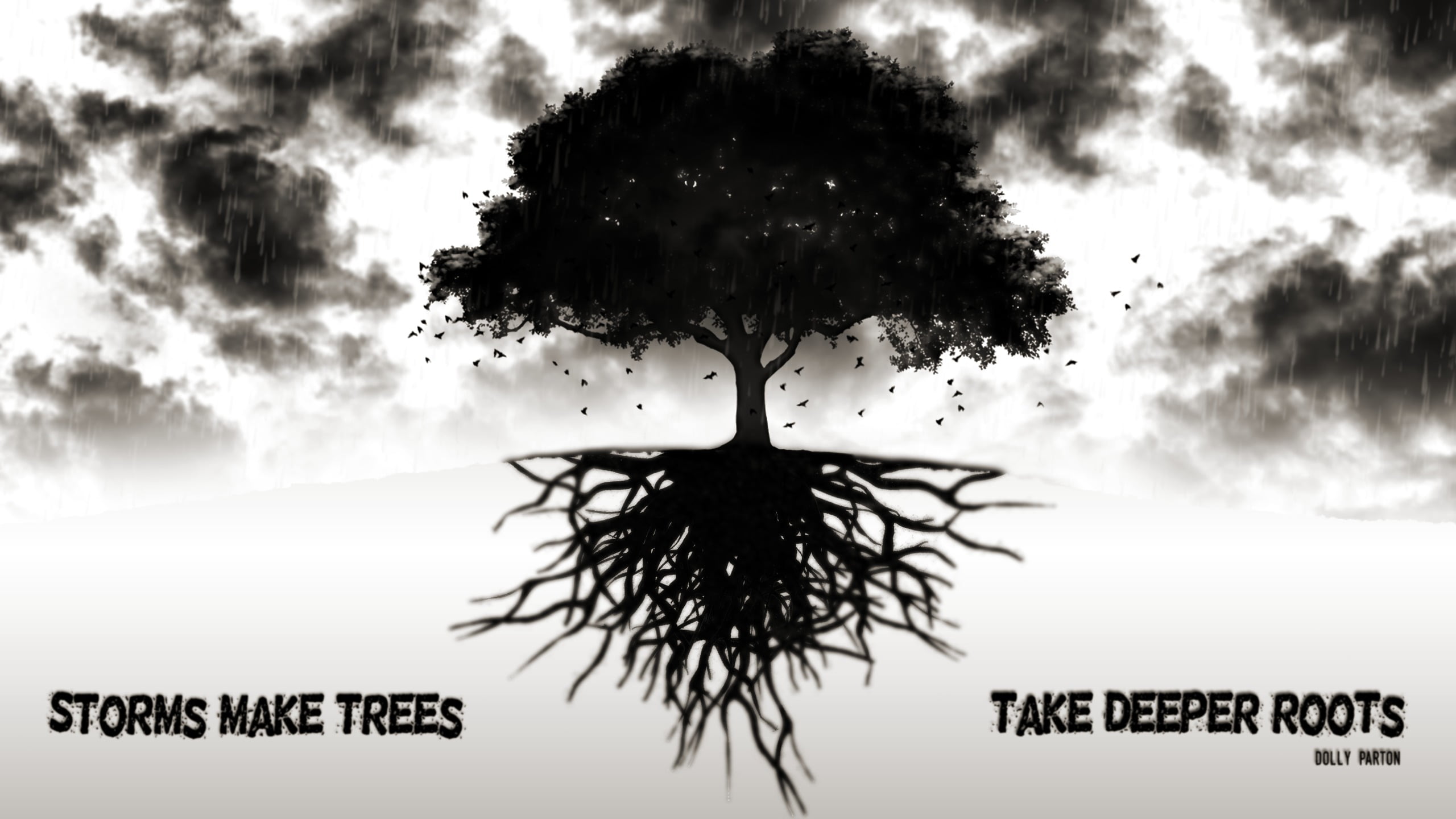 quote, trees, outdoors, information, storm, western script, day, water, sign, no people, growth, plant, cloud - sky, text, make, silhouette, storms, digital composite, HD Wallpaper