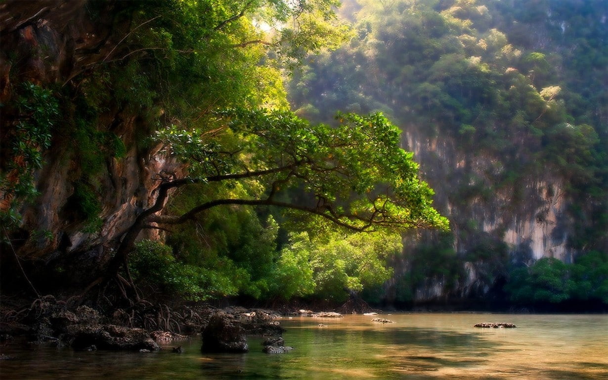 river, nature, tranquility, scenics - nature, flowing water, water, landscape, waterfront, no people, outdoors, trees, mountains, tree, beauty in nature, HD Wallpaper
