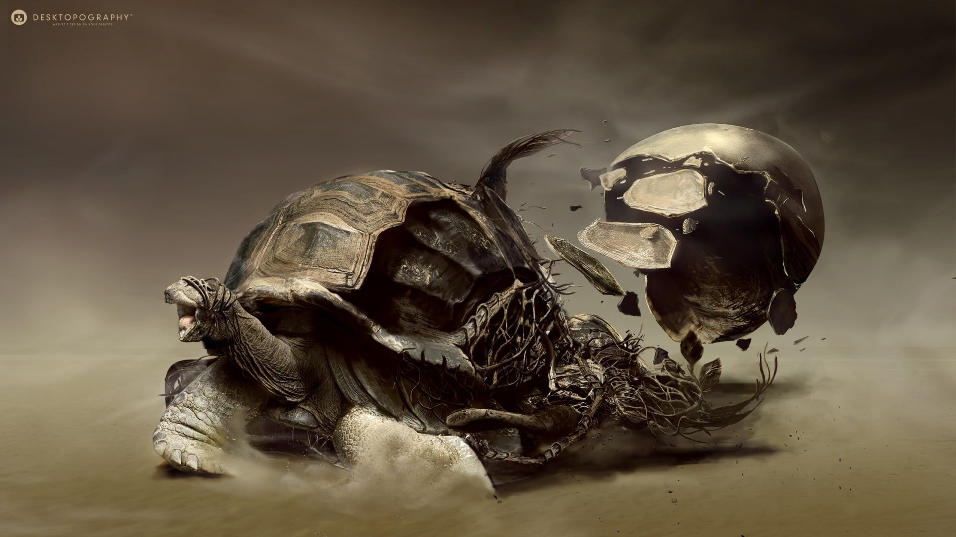 1080P, table, shell, reptile, animal, animal themes, animals in the wild, indoors, digital art, turtle, sand, focus on foreground, selective focus, roots, HD Wallpaper