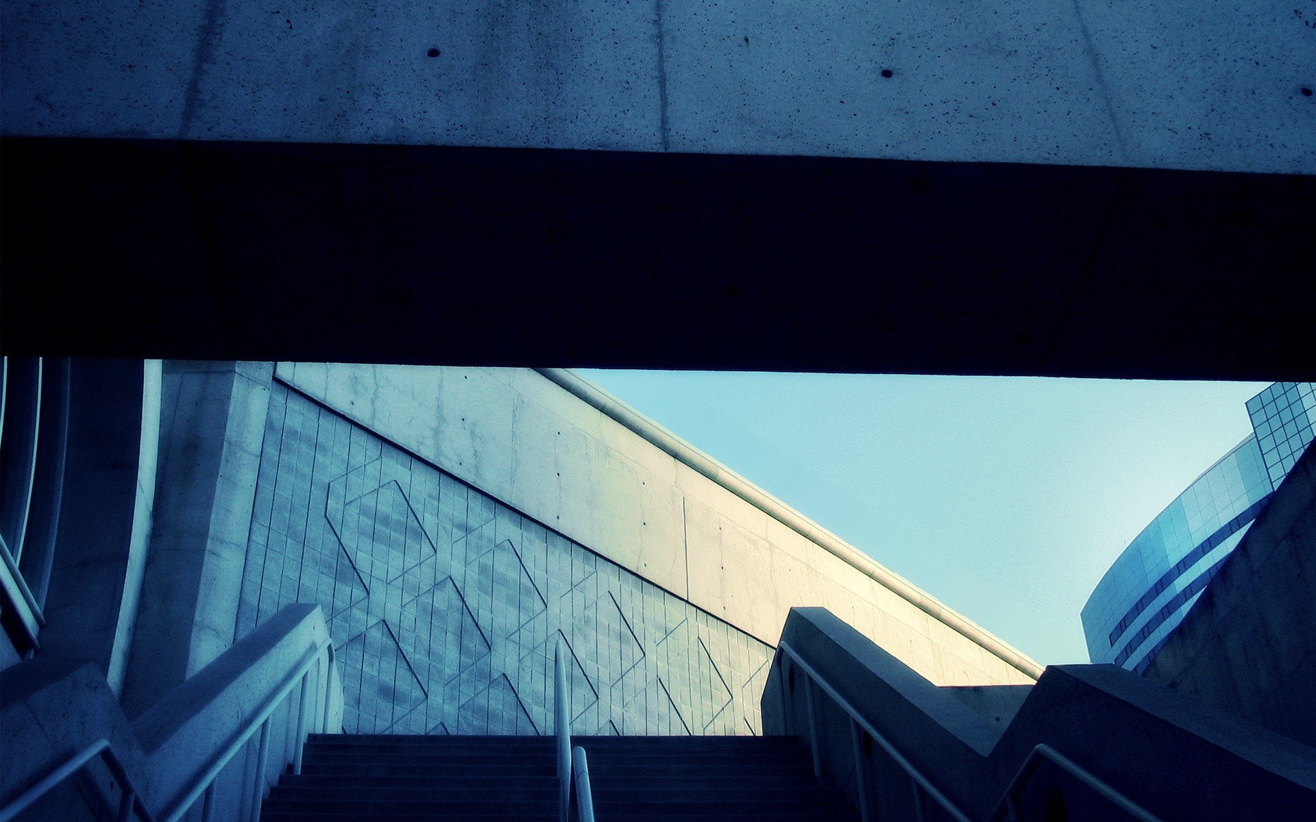 hd, px, dogs, stairs, 1080P, 1920x1200 px, City, architecture, art, concrete, x, animals, HD Wallpaper