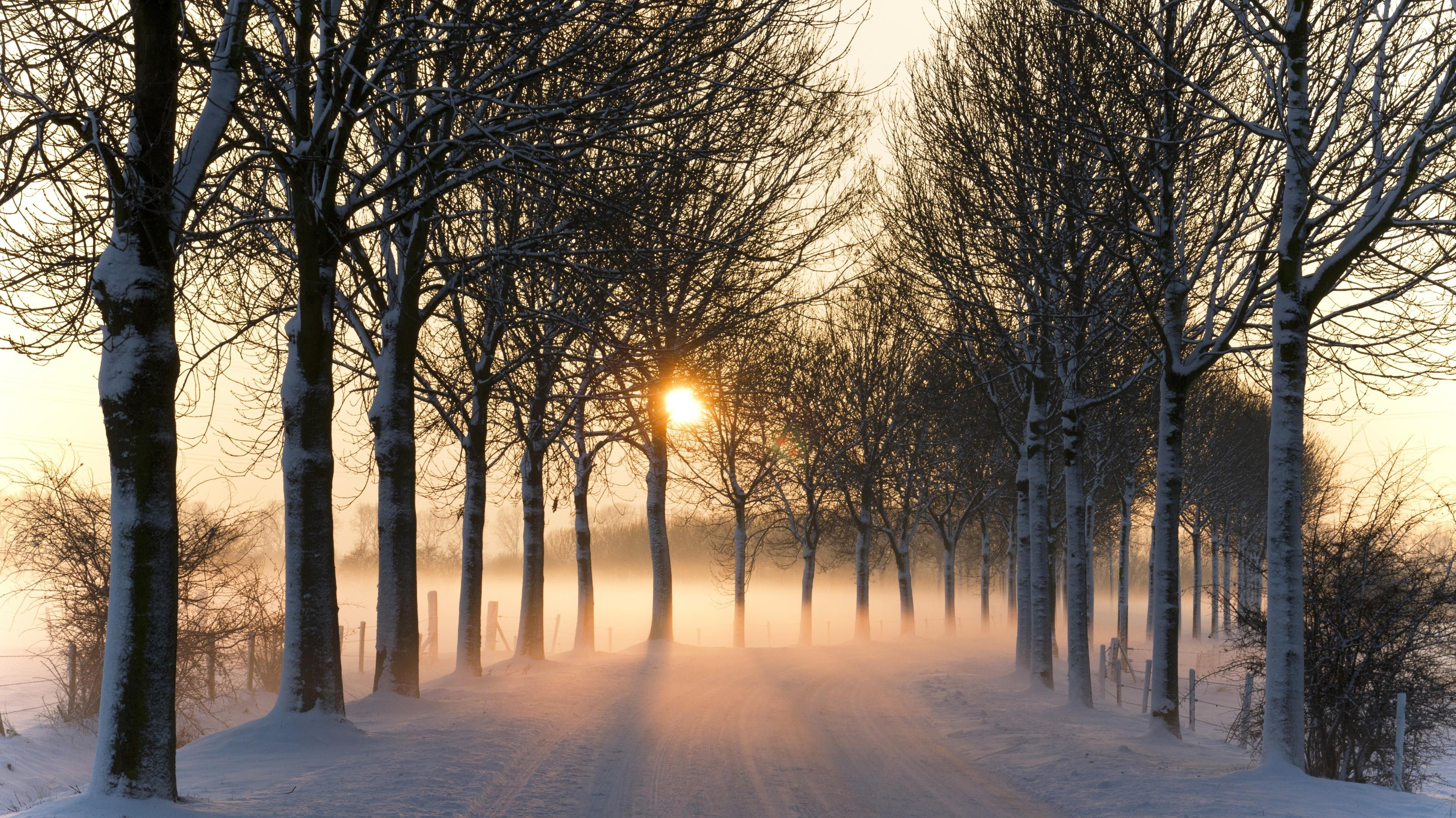 sunset, pathway, trees, 4K, road, winter, HD Wallpaper