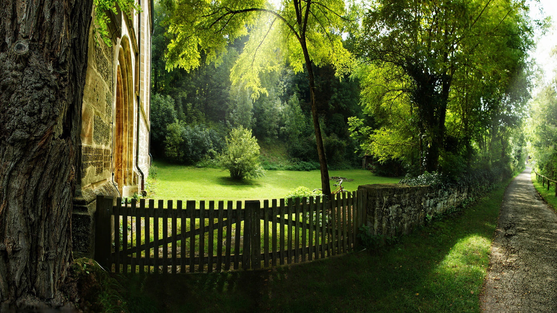 sunlight, tree, land, brown, scenics - nature, barrier, pathway, 1080P, tranquility, garden, day, nature, wooden, tree trunk, forest, trees, outdoors, HD Wallpaper