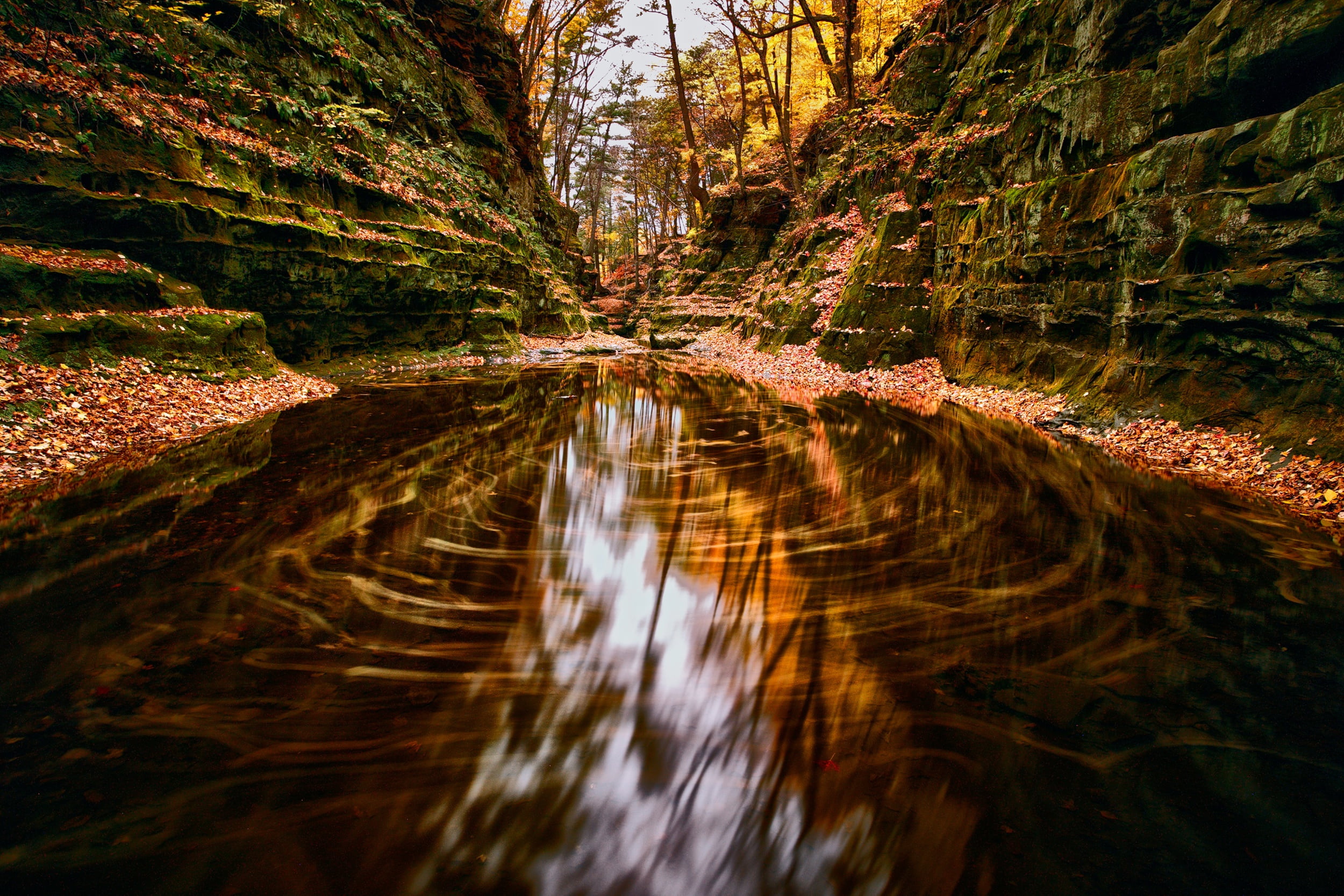 1080P, tranquility, water, tranquil scene, beauty in nature, stream - flowing water, long exposure, river, nature, non-urban scene, decor, motion, forest, HD Wallpaper