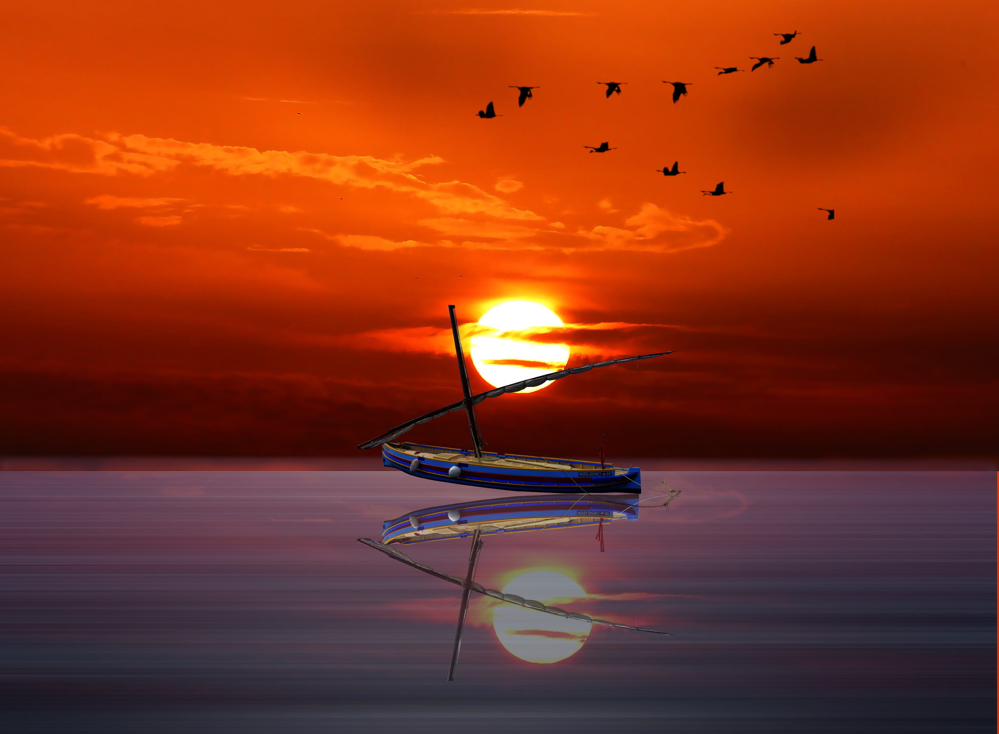 idyllic, orange color, vertebrate, reflection, evening, summer, flock of birds, layer of the sun, tranquil scene, quiet, flying, 2K, nature, no people, HD Wallpaper