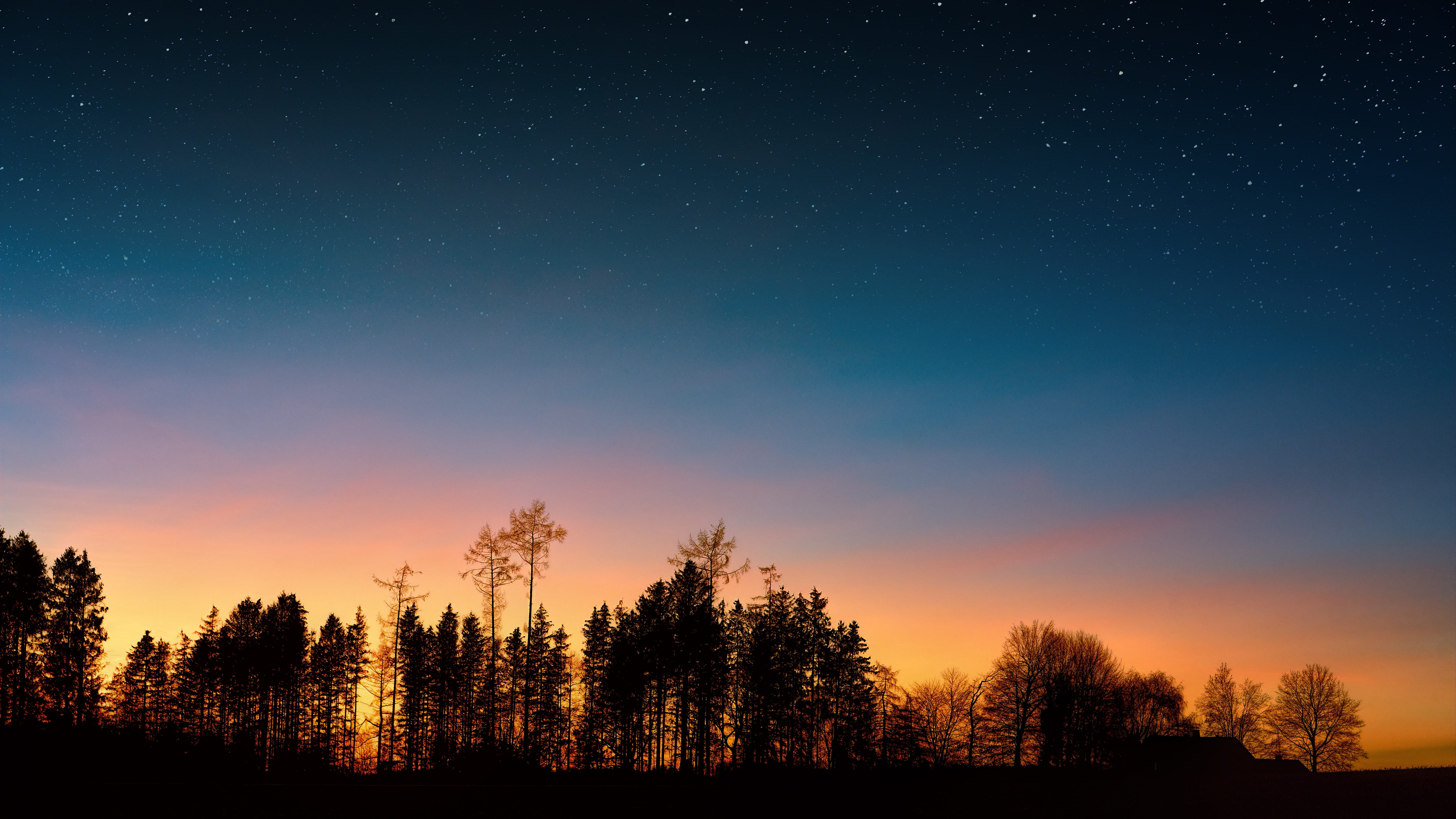 quiet, astronomy, red, space, blue, evening sky, sky, scenics - nature, growth, idyllic, starry sky, tranquility, tree, star, plant, land, night, weather, HD Wallpaper