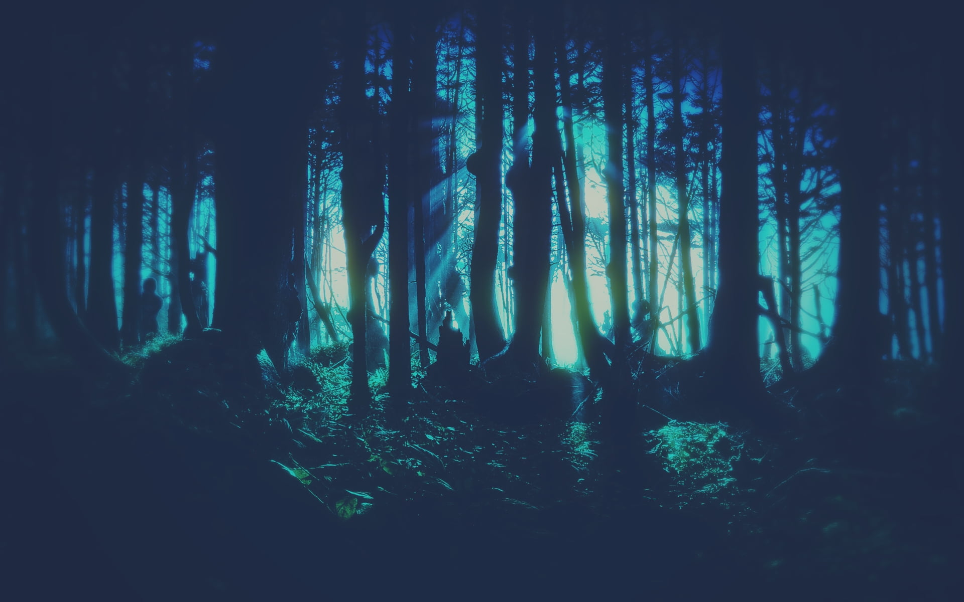  non-urban scene, day, no people, forest, beauty in nature, environment, trunk, artwork, land, 1080P, tranquility, cyan, remote, plant, idyllic, HD Wallpaper