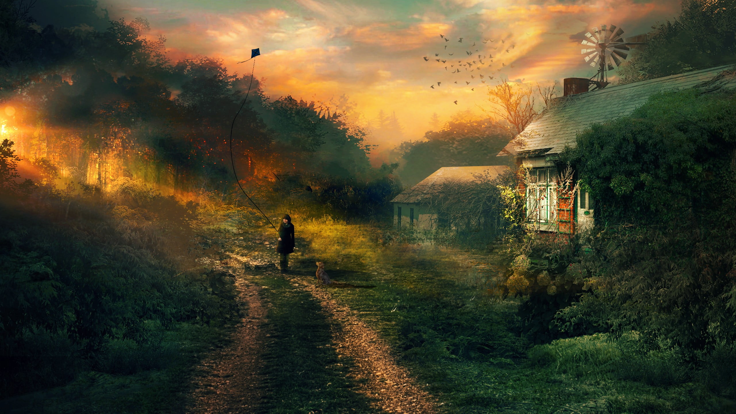 one person, plant, land, real people, lifestyles, building, holding, road, built structure, tree, nature, footpath, house, building exterior, HD Wallpaper