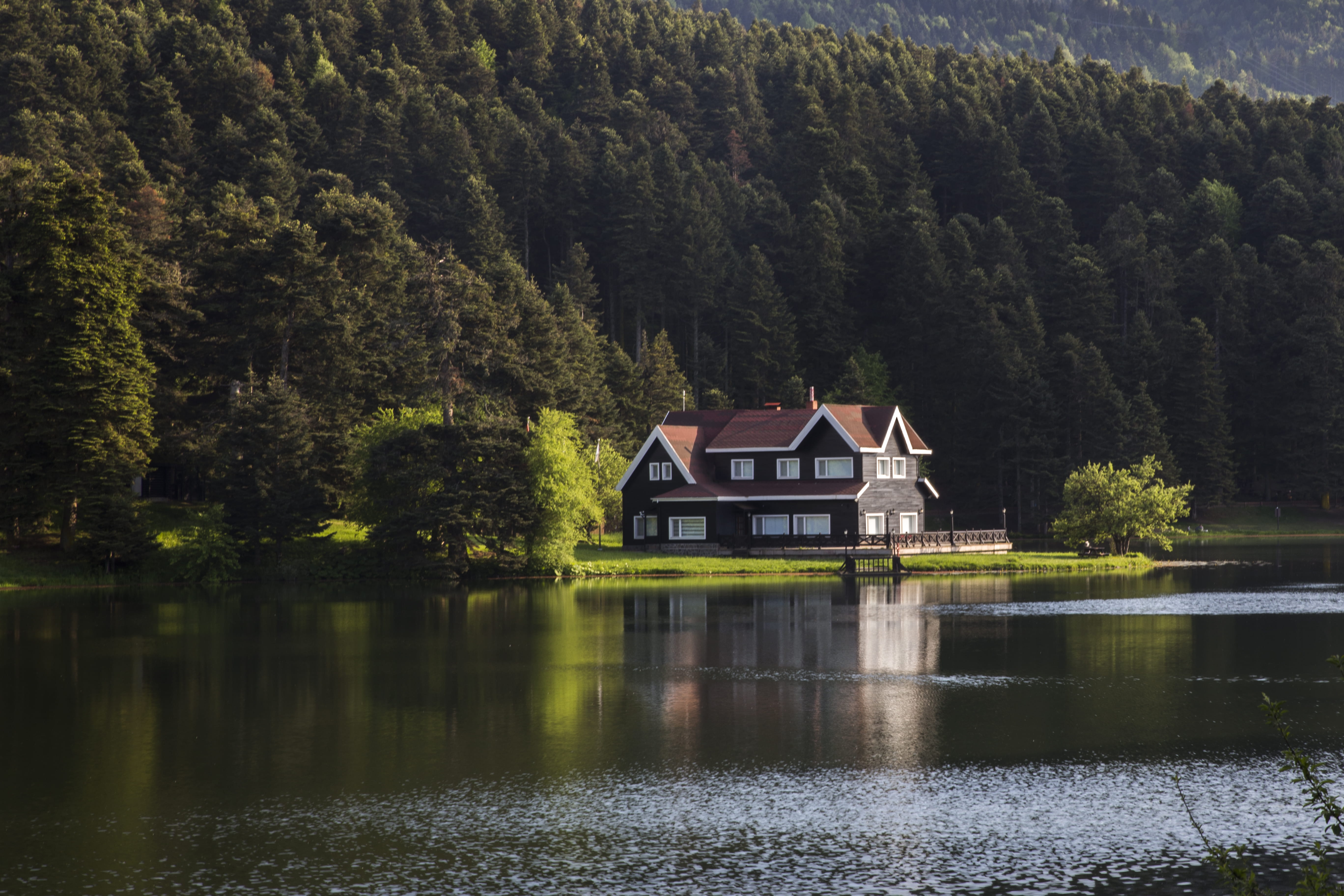 gölcük, house, tree, cottage, golcuk nature park, forest, 5K, turkey, building, no people, scenics - nature, growth, reflection, architecture, gölcük milli parkı, HD Wallpaper