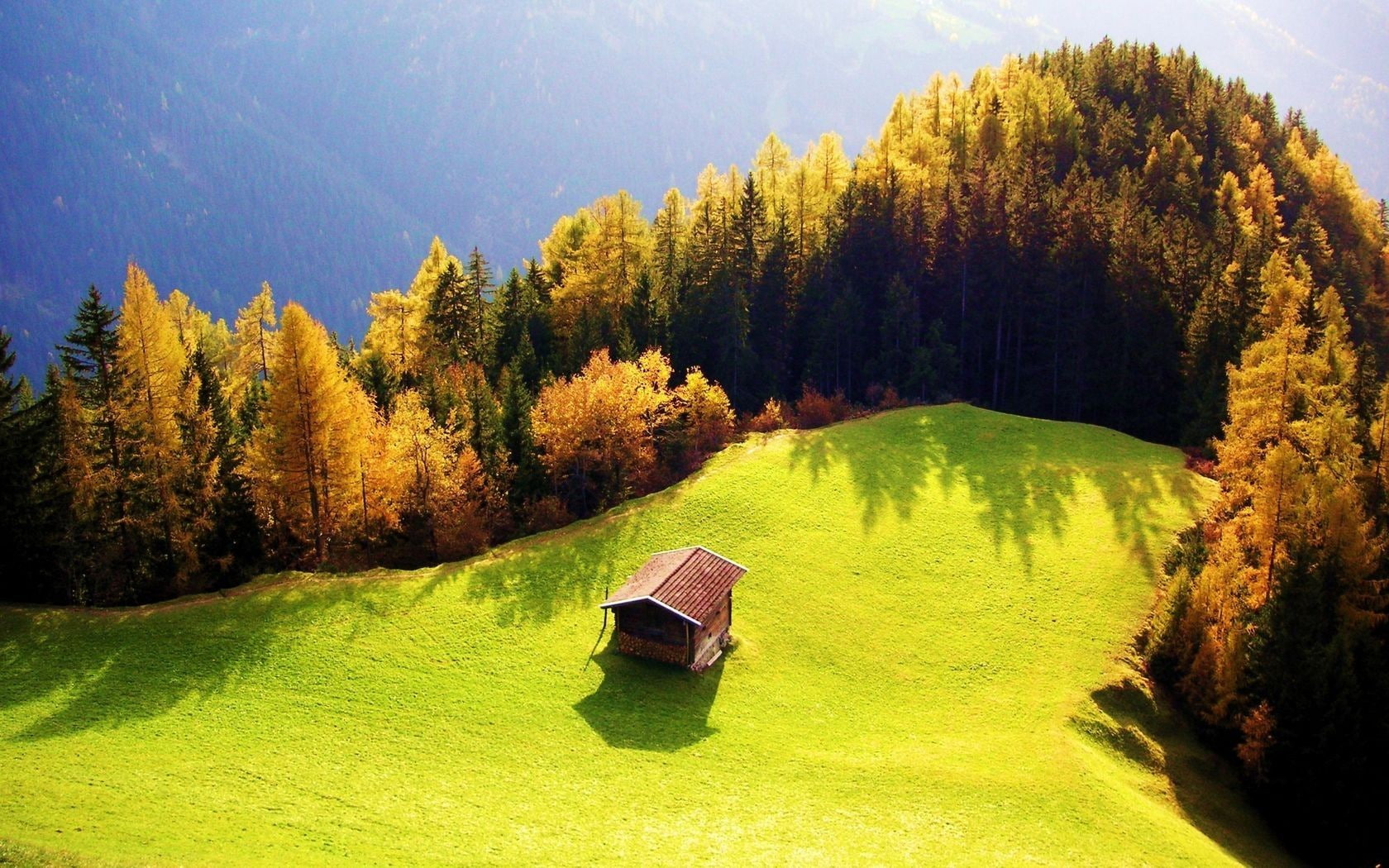 fall, 720P, landscape, forest, cottage, trees, HD Wallpaper