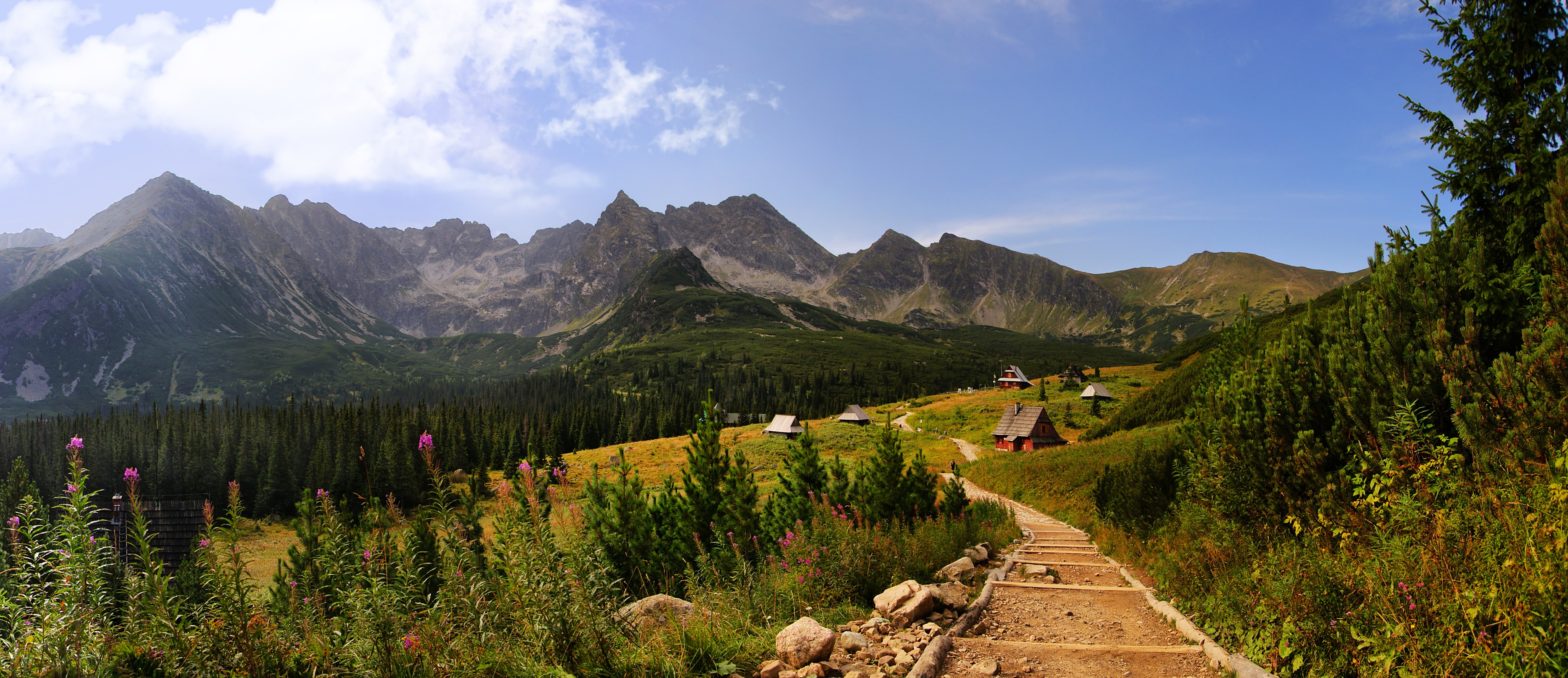 landscape, depth, green, 5K, photo, trees, houses, mountain, depth of field, path, flowers, field, nature, HD Wallpaper