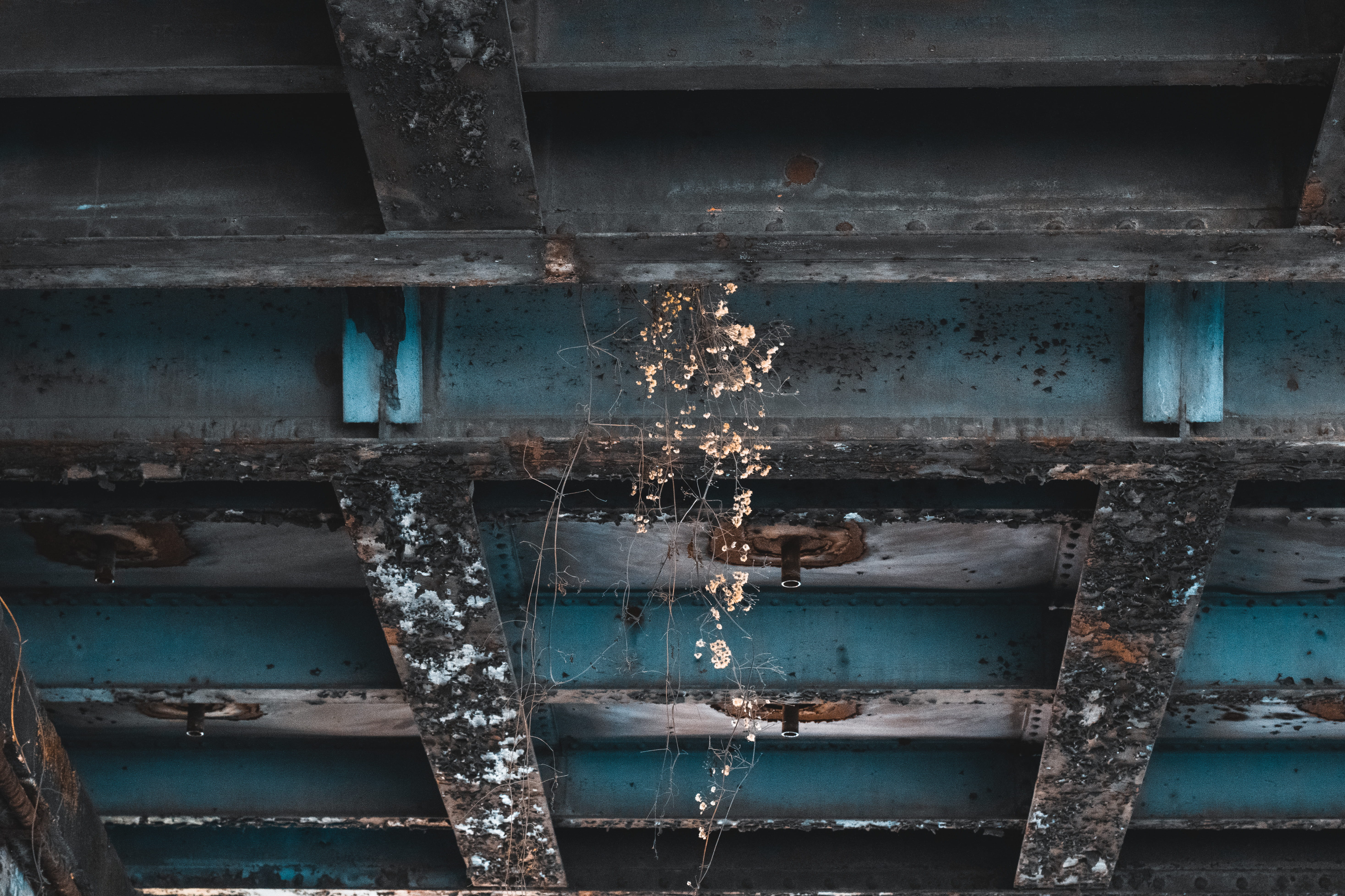 close-up, life, banister, bad condition, light, metal, 5K, no people, damaged, run-down, clothing, apparel, flower, berlin, obsolete, wood, window, backgrounds, HD Wallpaper