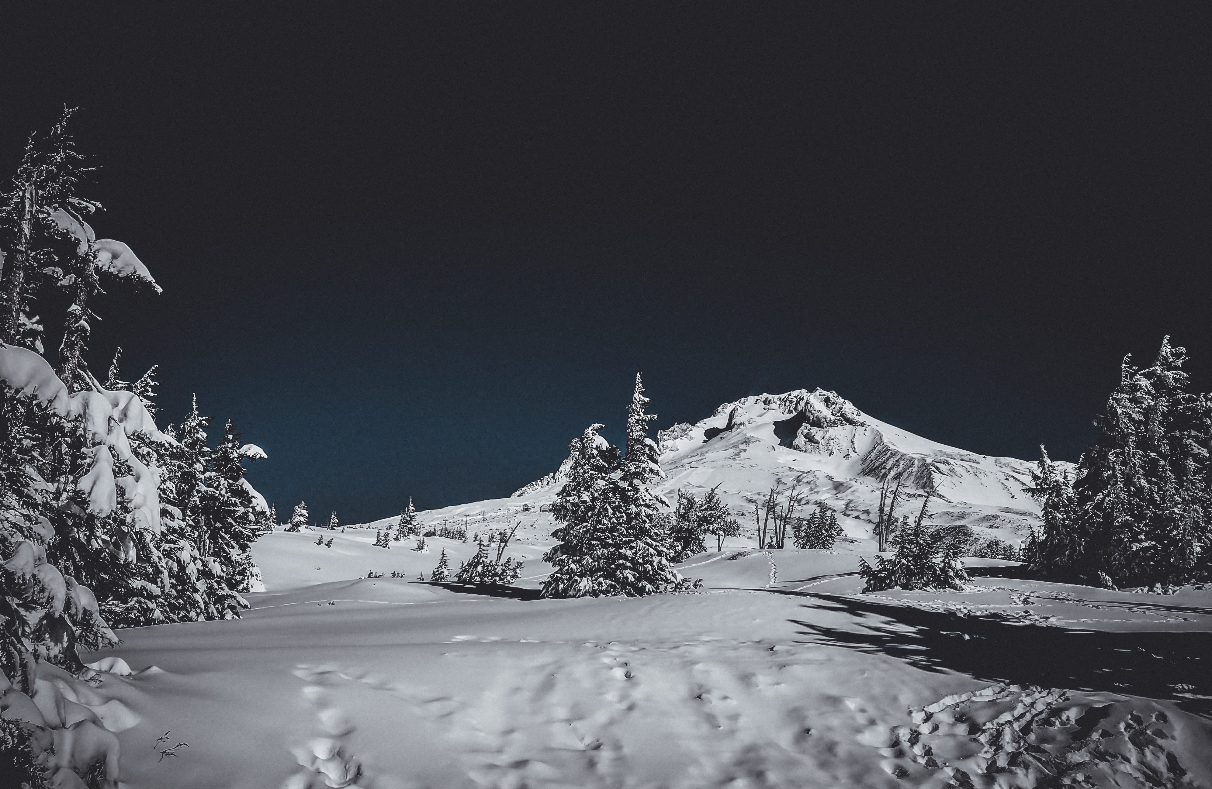 cold temperature, sky, snowcapped mountain, tranquil scene, mthood, night, beauty in nature, 4K, blue, white, ski, plant, mountain, scenics - nature, environment, HD Wallpaper