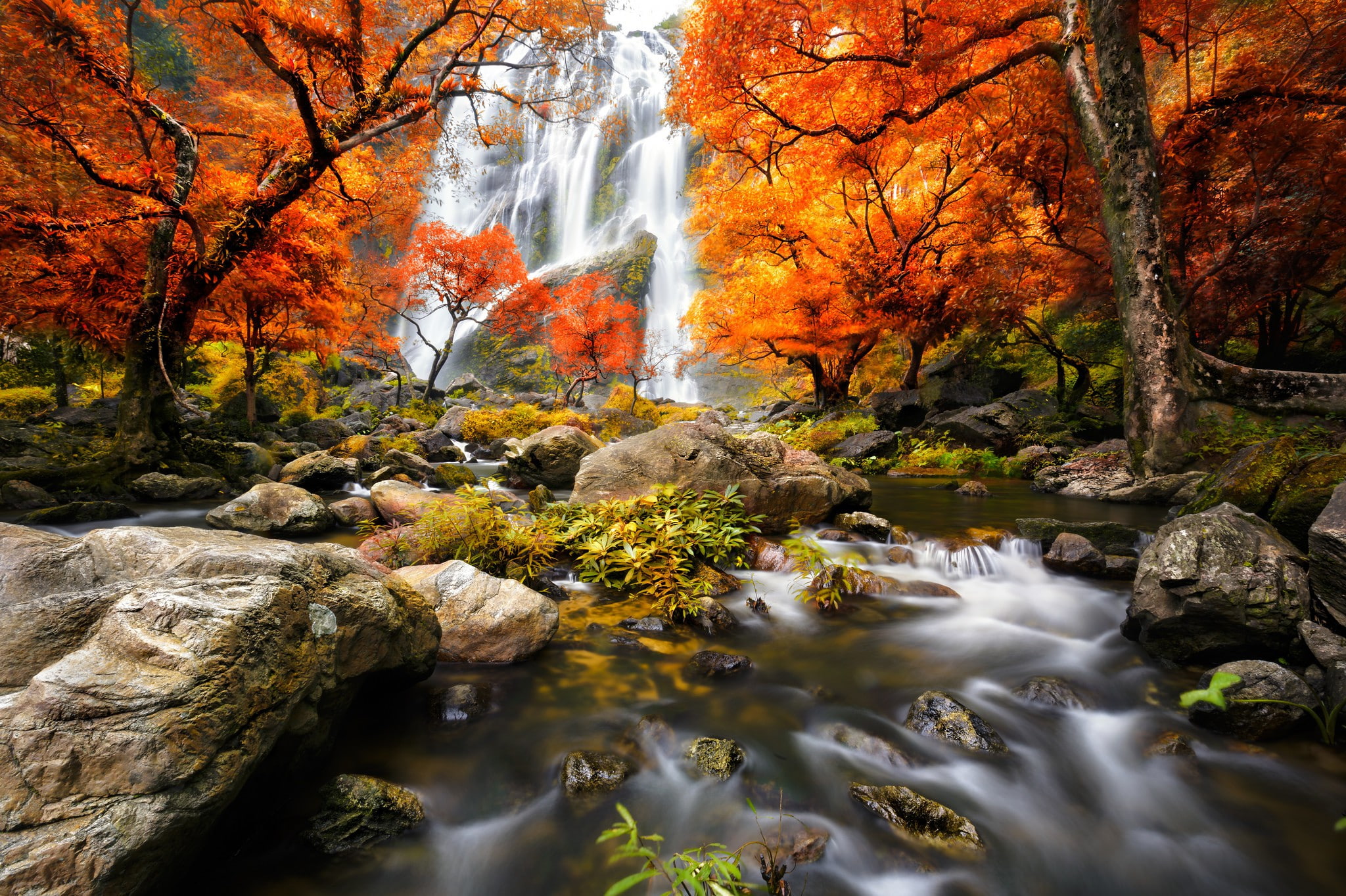 1080P, Nature, waterfall, beside, colorful, waterfal, river, forest, waterfalls, best, HD Wallpaper