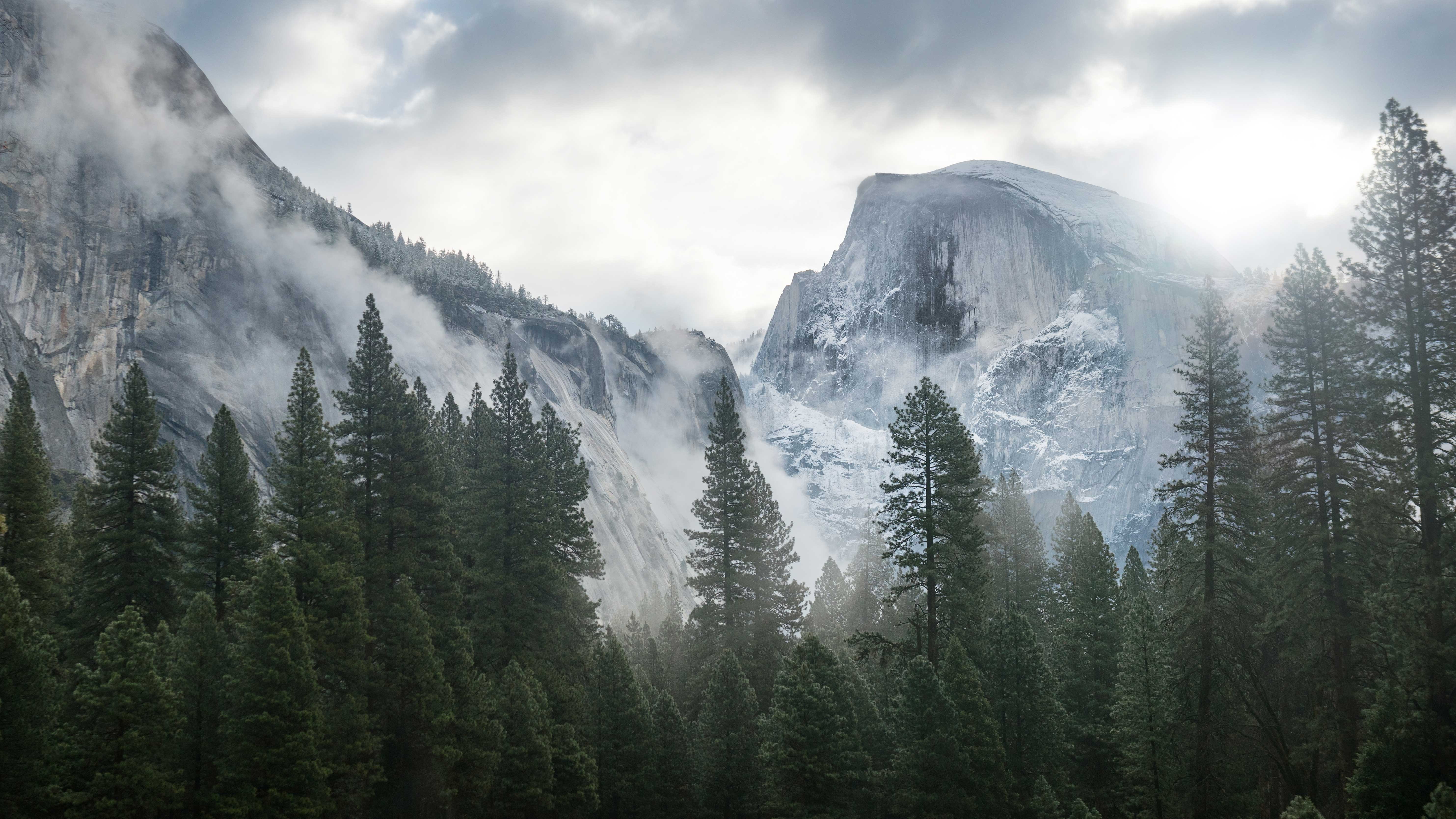5K, ice, overcast, nature, mist, spruce, mountains, HD Wallpaper