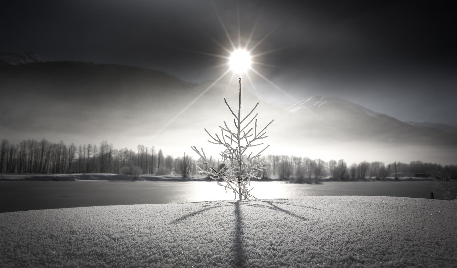 ice, spruce, Sun, mist, photography, mountains, 720P, HD Wallpaper