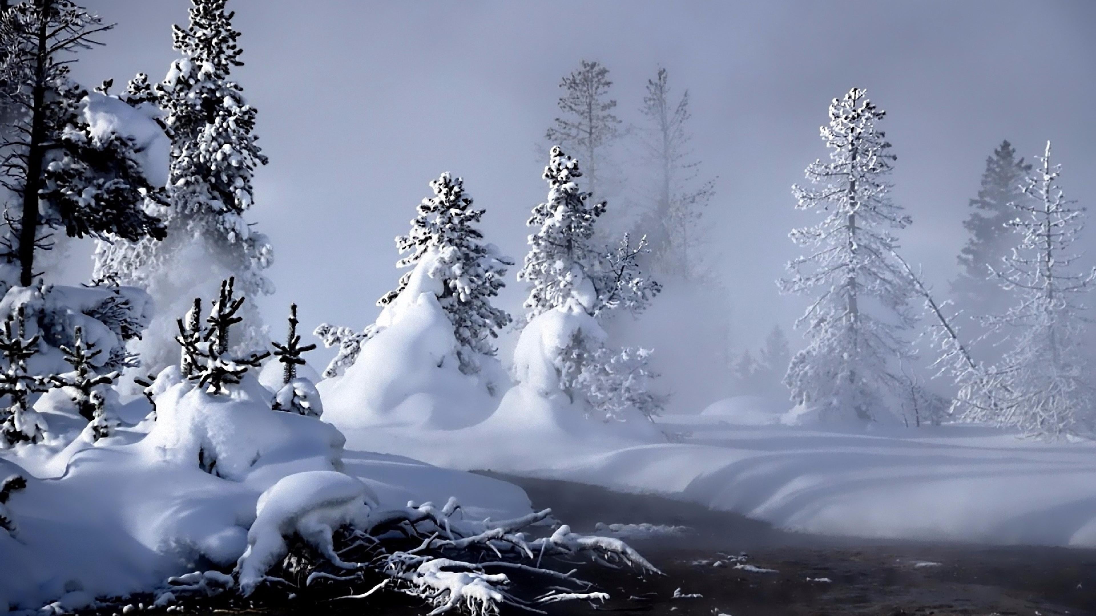 damp, snowy, fir, 4K, river, tree, snow, nature, water, evaporation, pine, spruce, mist, misty, freezing, winter, steam, forest, HD Wallpaper