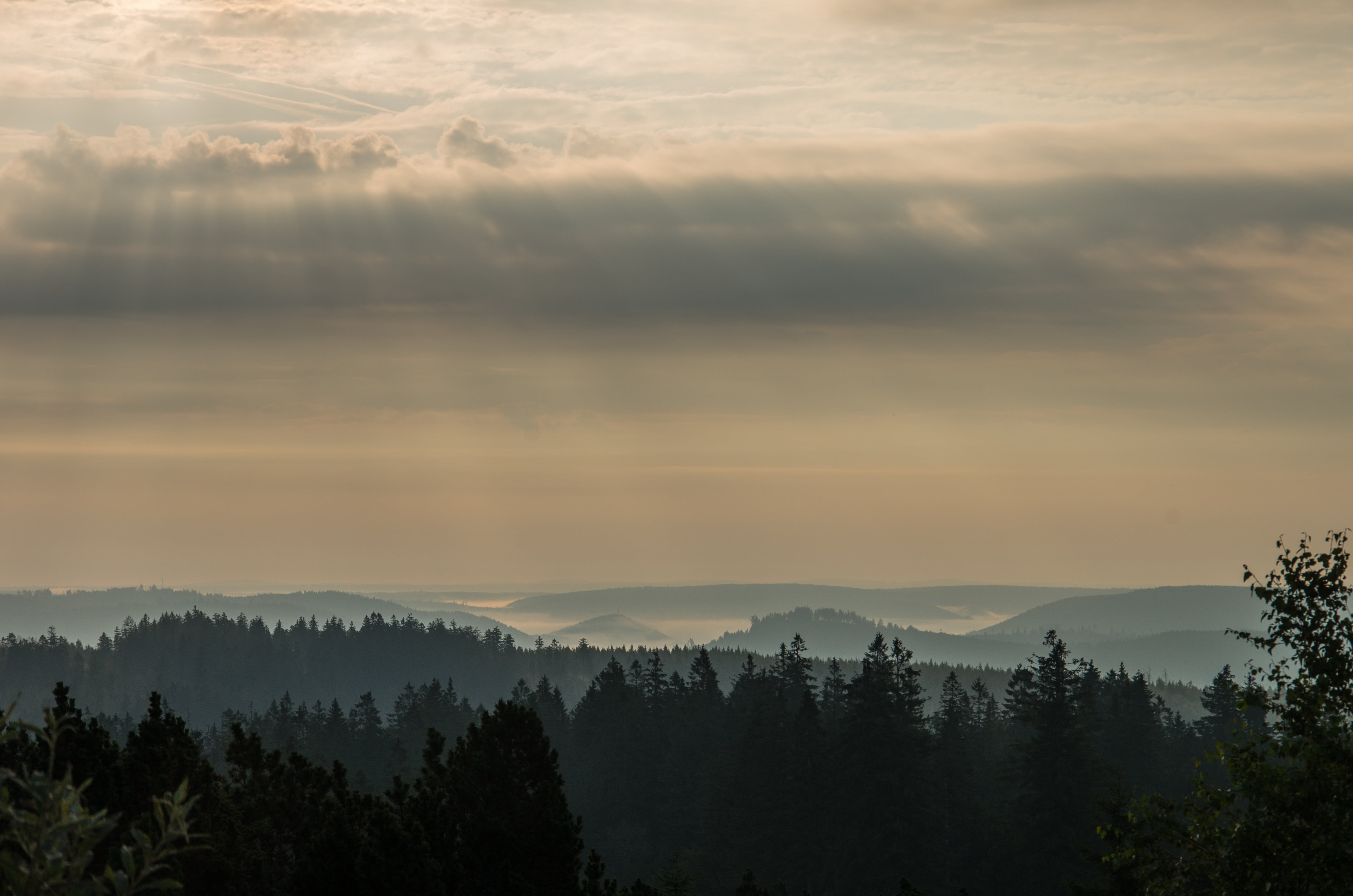 Schwarzwald, outdoors, tree, Natur, Outdoor, fog, Sonne, forest, landscape, silhouette, Wolke, Motorrad, Freudenstadt, sunset, Tisch, Ortenaukreis, morning, HD Wallpaper