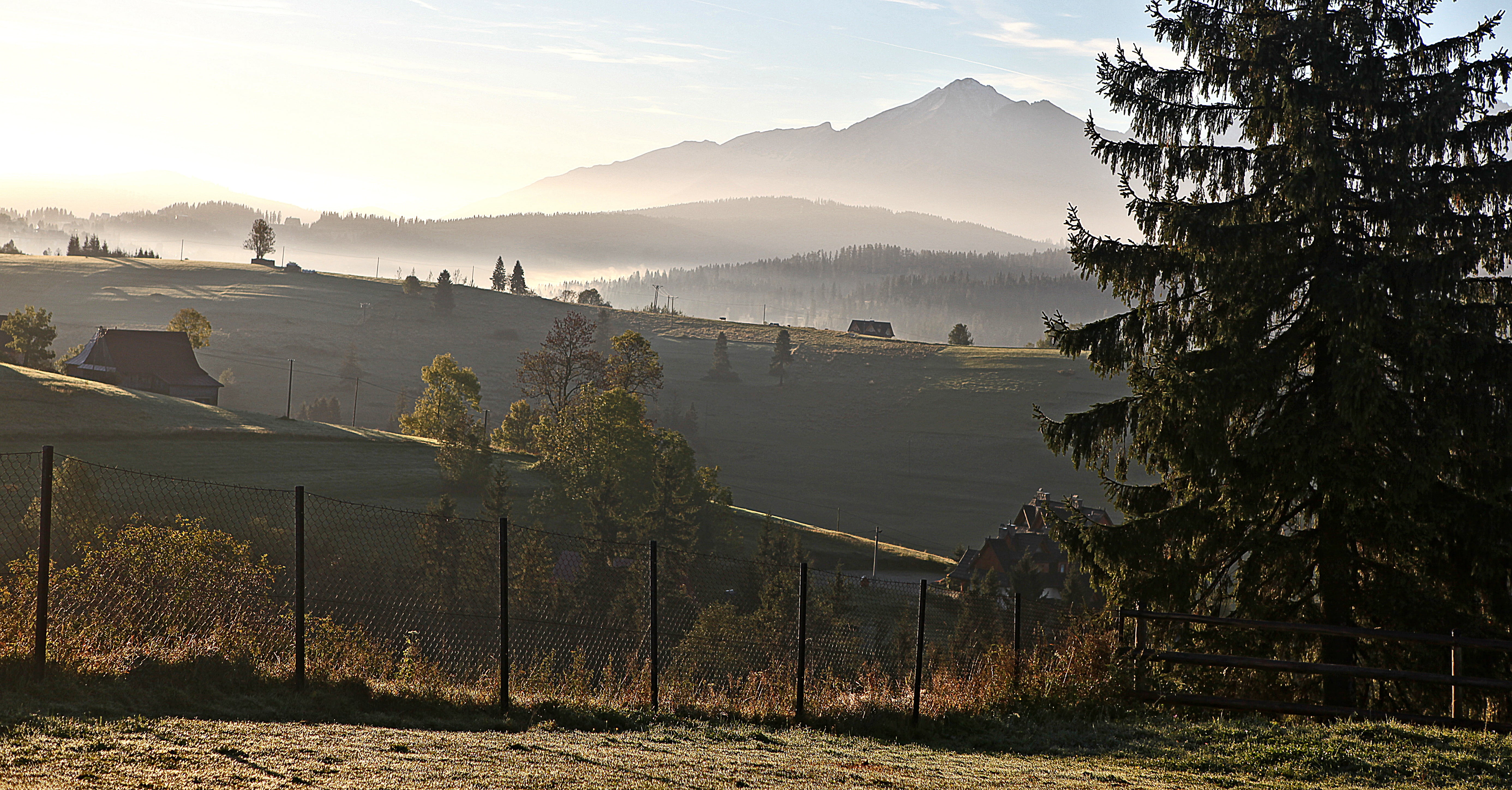 the fog, autumn, dawn, beauty in nature, mountains, meadows, coniferous tree, tatry, sunlight, scenics - nature, the beginning of the day, nature, morning mist, HD Wallpaper