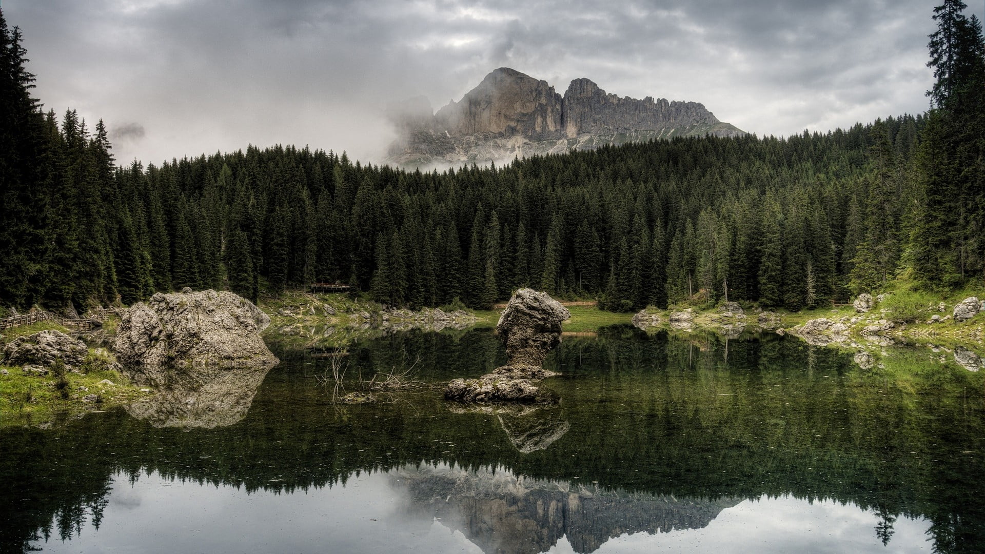 black, brown, outdoors, water, rock, mountain, beauty in nature, fur, forest, pine woodland, land, tranquility, area, woodland, evergreen tree, tranquil scene, HD Wallpaper