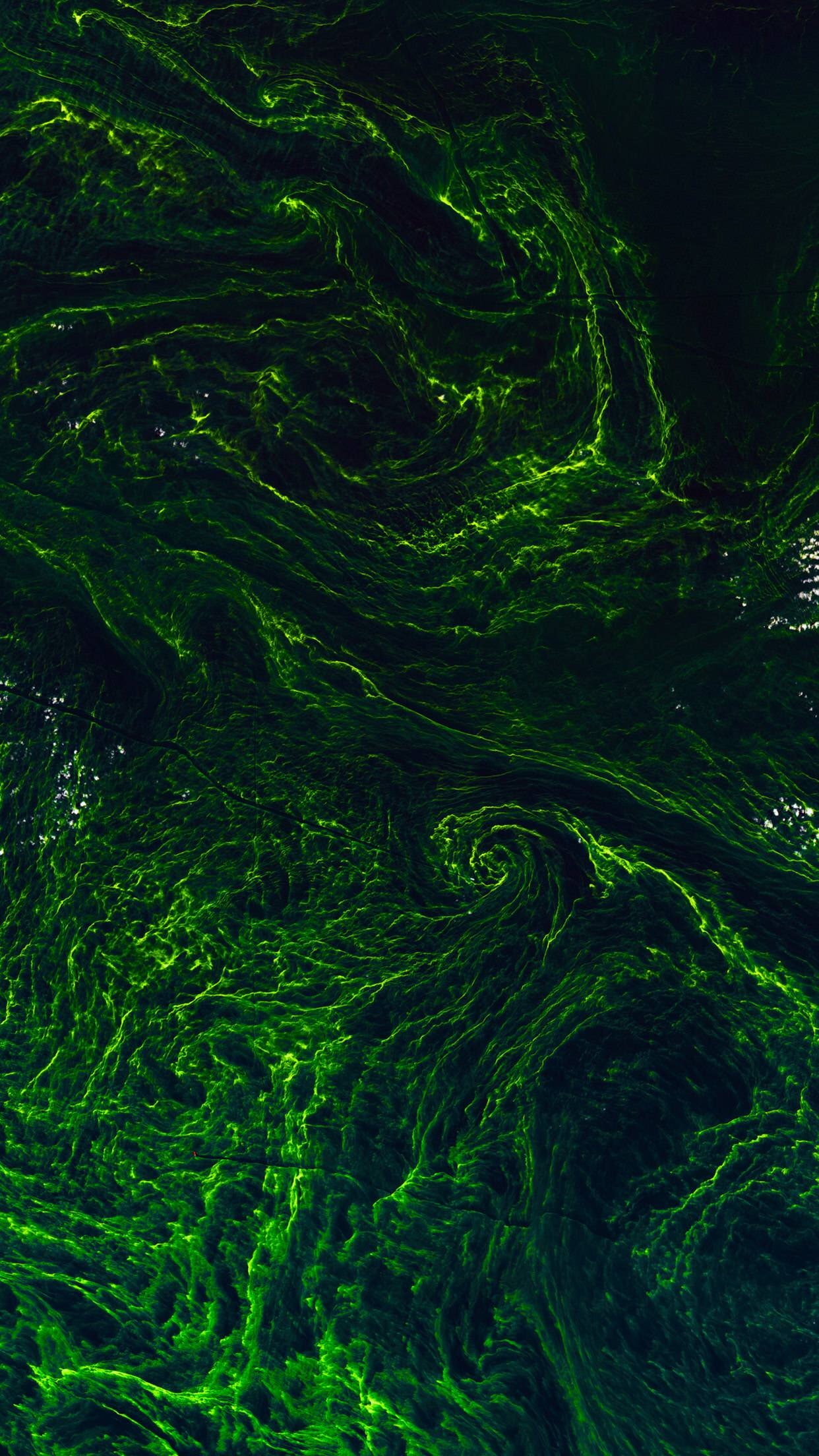 beauty in nature, creativity, motion, 1080P, abstract, full frame, multi colored, abstract backgrounds, curve, backgrounds, pattern, water, green color, Phone HD Wallpaper