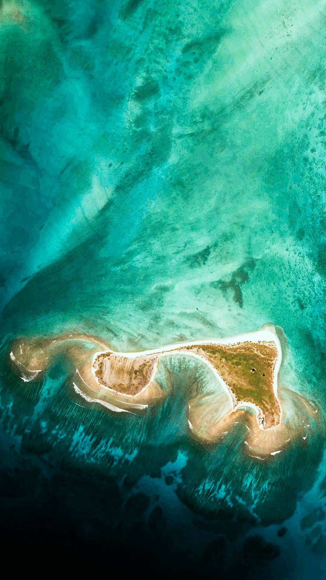 vertical, undersea, 1080P, no people, animal wildlife, swimming, nature, outdoors, underwater, animal themes, environment, aerial view, beauty in nature, Phone HD Wallpaper