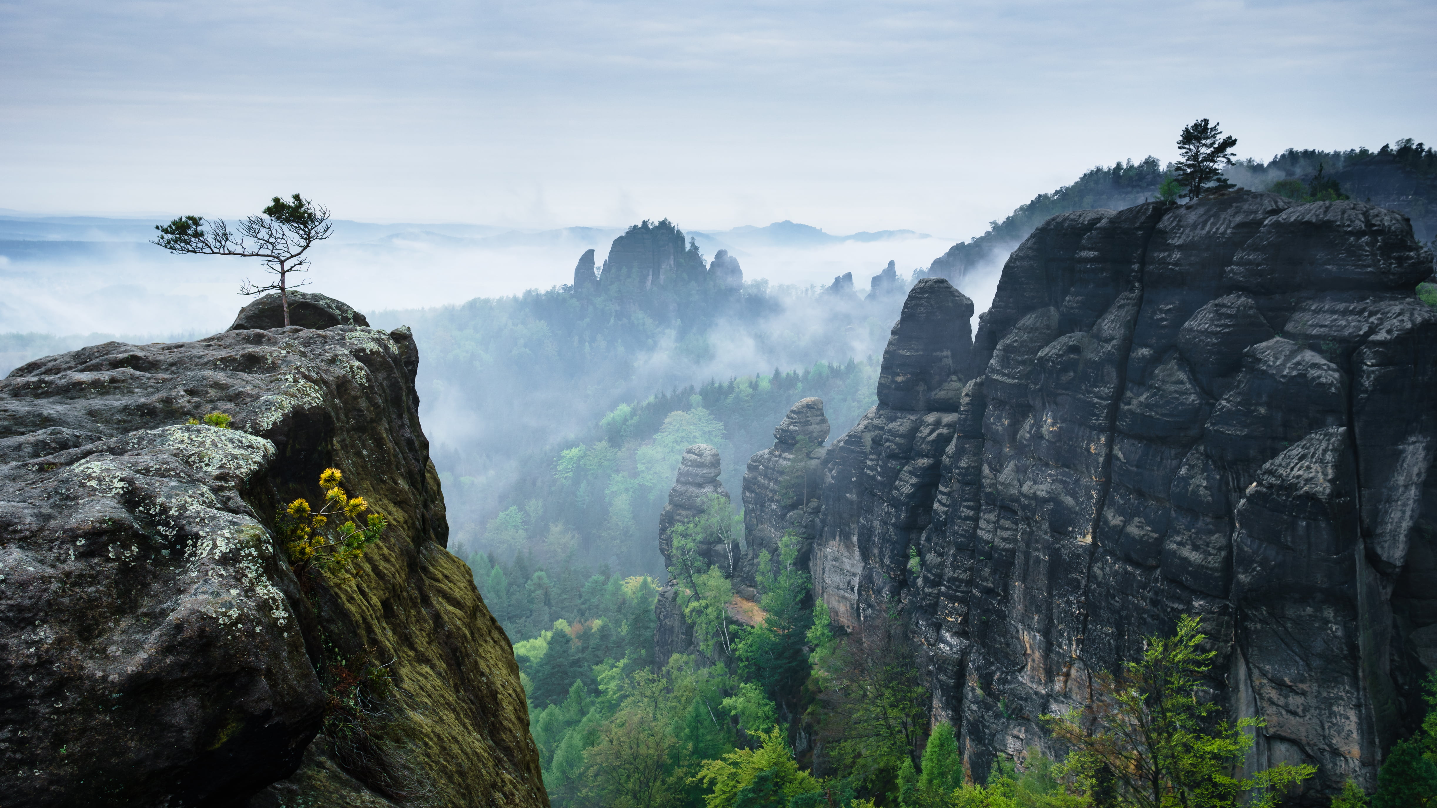 Frühling, Felsen, rock - Object, Morgen, Zickler, Peer, Schmilka, landscape, Nebel, Saxony, travel, Germany, Fog, kleiner, nature, Rocks, Sächsische-Schweiz, HD Wallpaper