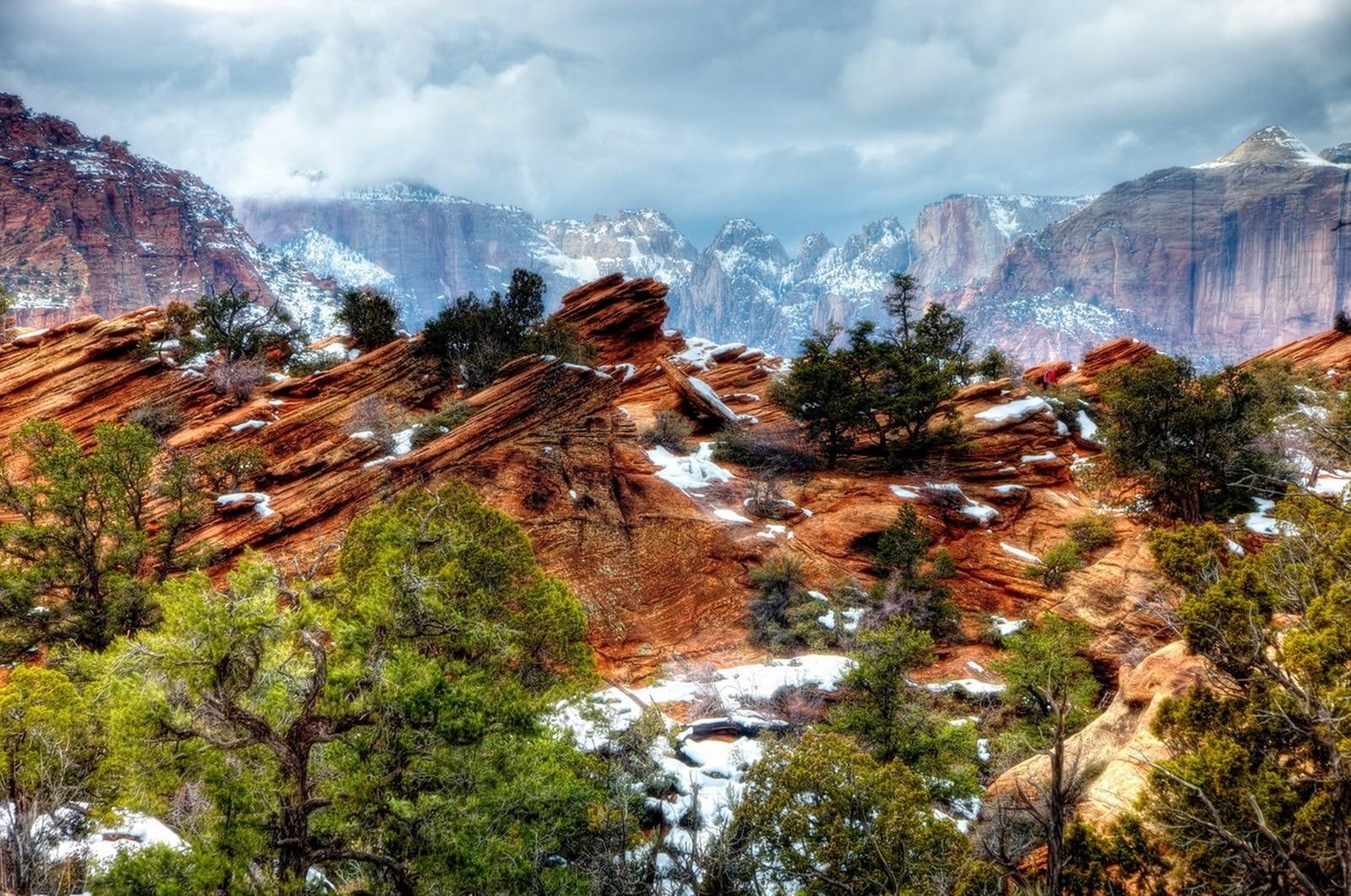 utah, national-park, snow, tress, 720P, canyon, clouds, zion, mountains, winter, landscape, HD Wallpaper