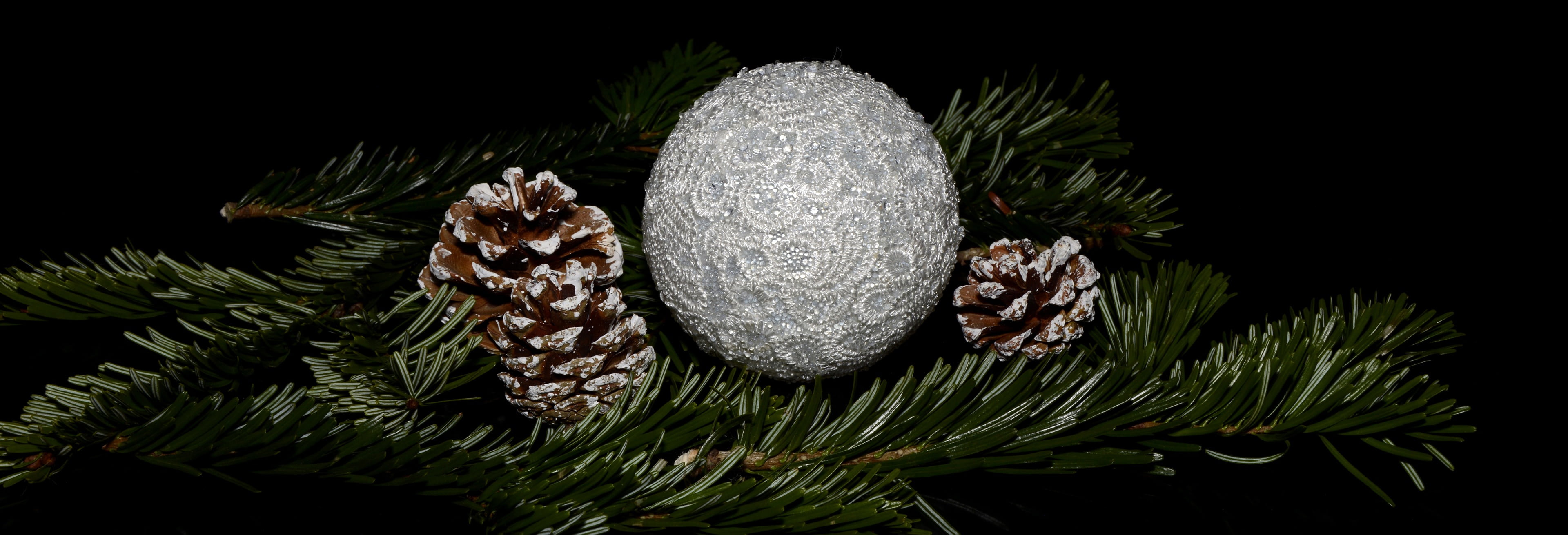 night, header, evergreen tree, christmas wishes, close, holiday, banner, plant, pine cone, pine cones, tree, christmas ornament, outdoors, holly, no people, HD Wallpaper