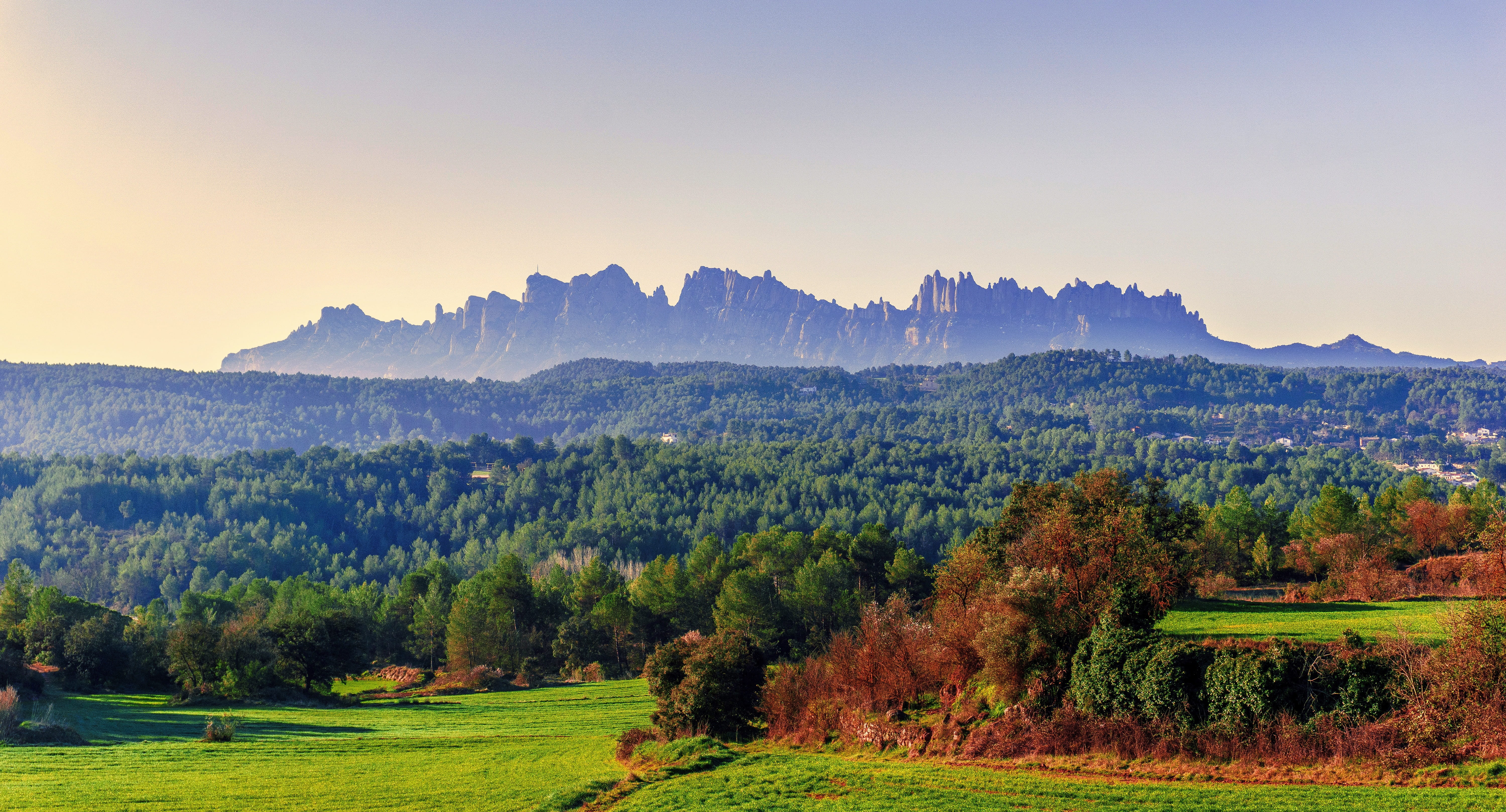 horizon, travel, cereals, plant, action of the fire, barley, forest, tranquility, mountain, montserrat, wheat, mountain range, outdoors, landscape, trees burned, HD Wallpaper