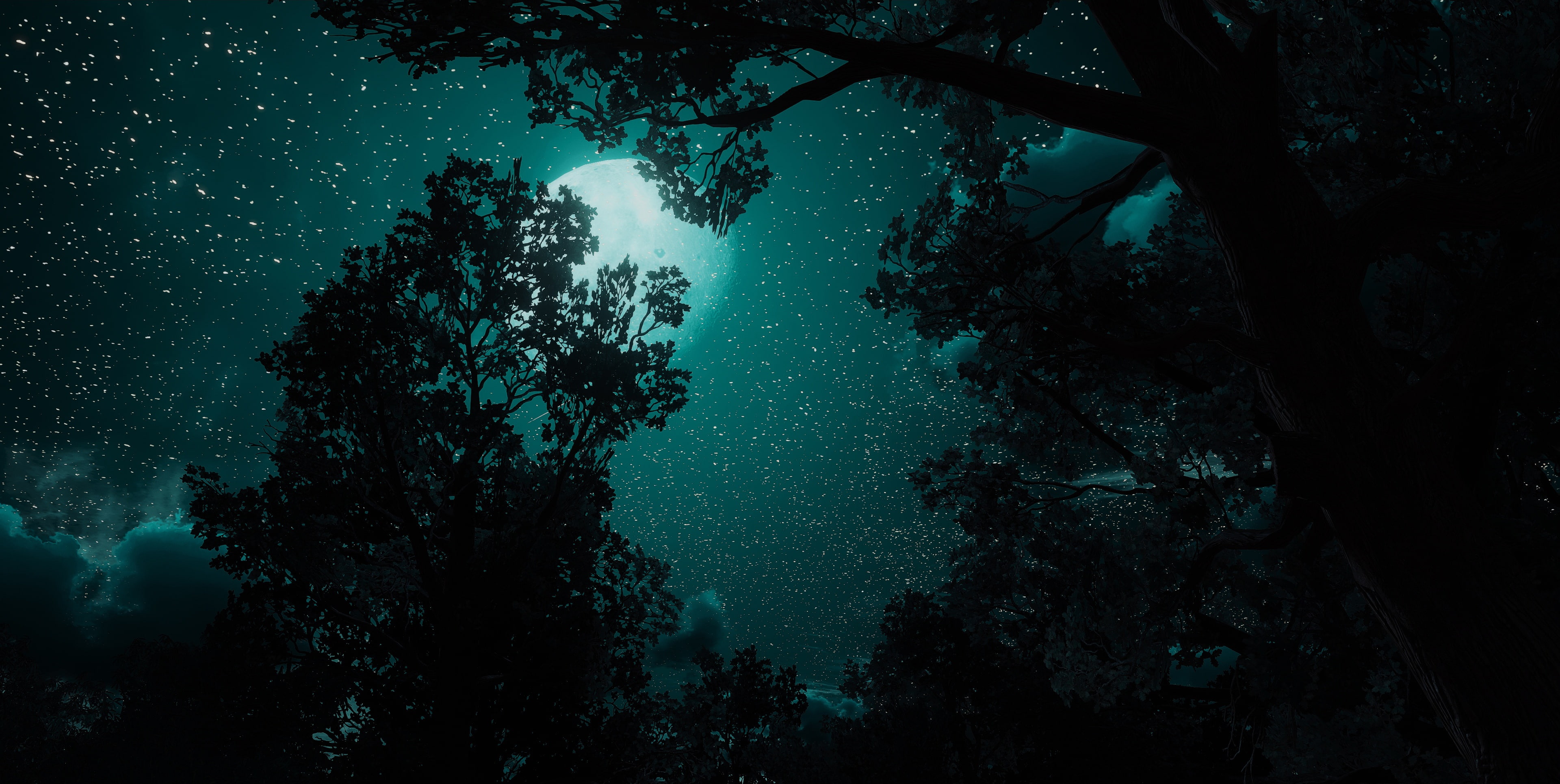 The Witcher 3: Wild Hunt, screen shot, night, video games, Moon, 4K, HD Wallpaper