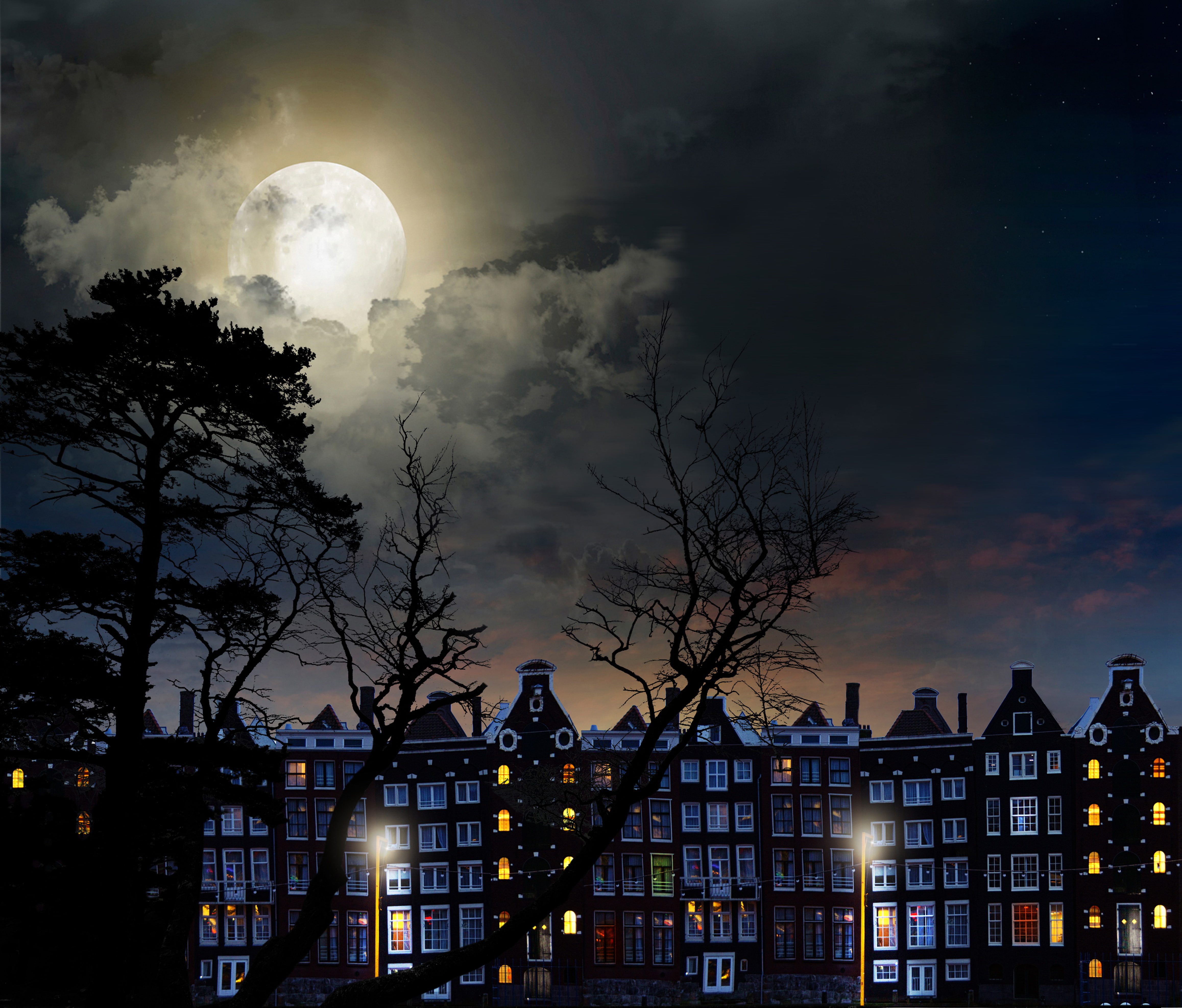 bare tree, full, architecture, city, tree, nature, cloud - Sky, low angle view, sky, dusk, dark, planetary moon, landscape, built Structure, HD Wallpaper