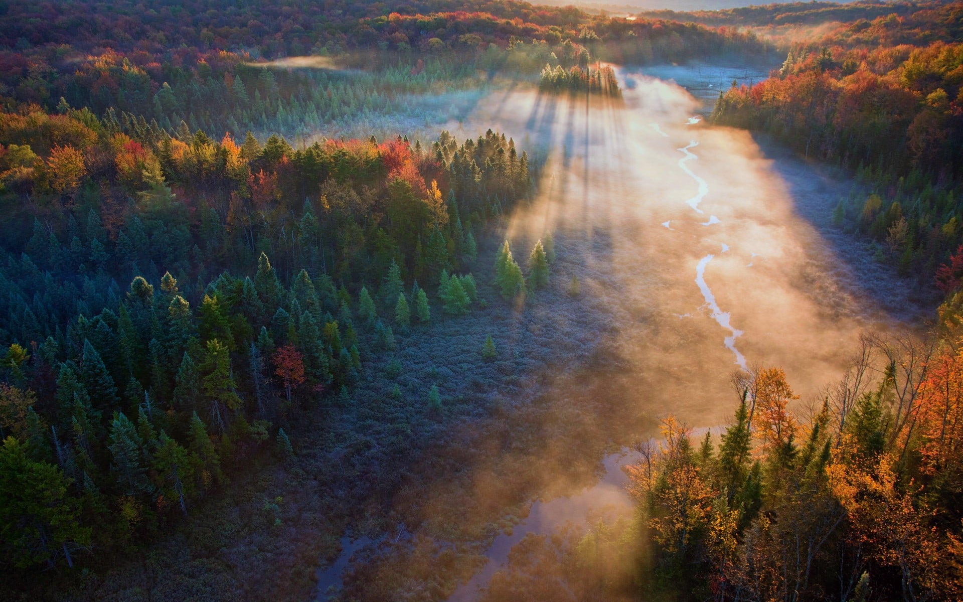 river, field, tree, woodland, idyllic, forest, tranquil scene, no people, high angle view, nature, day, autumn, aerial view, change, outdoors, growth, mist, HD Wallpaper