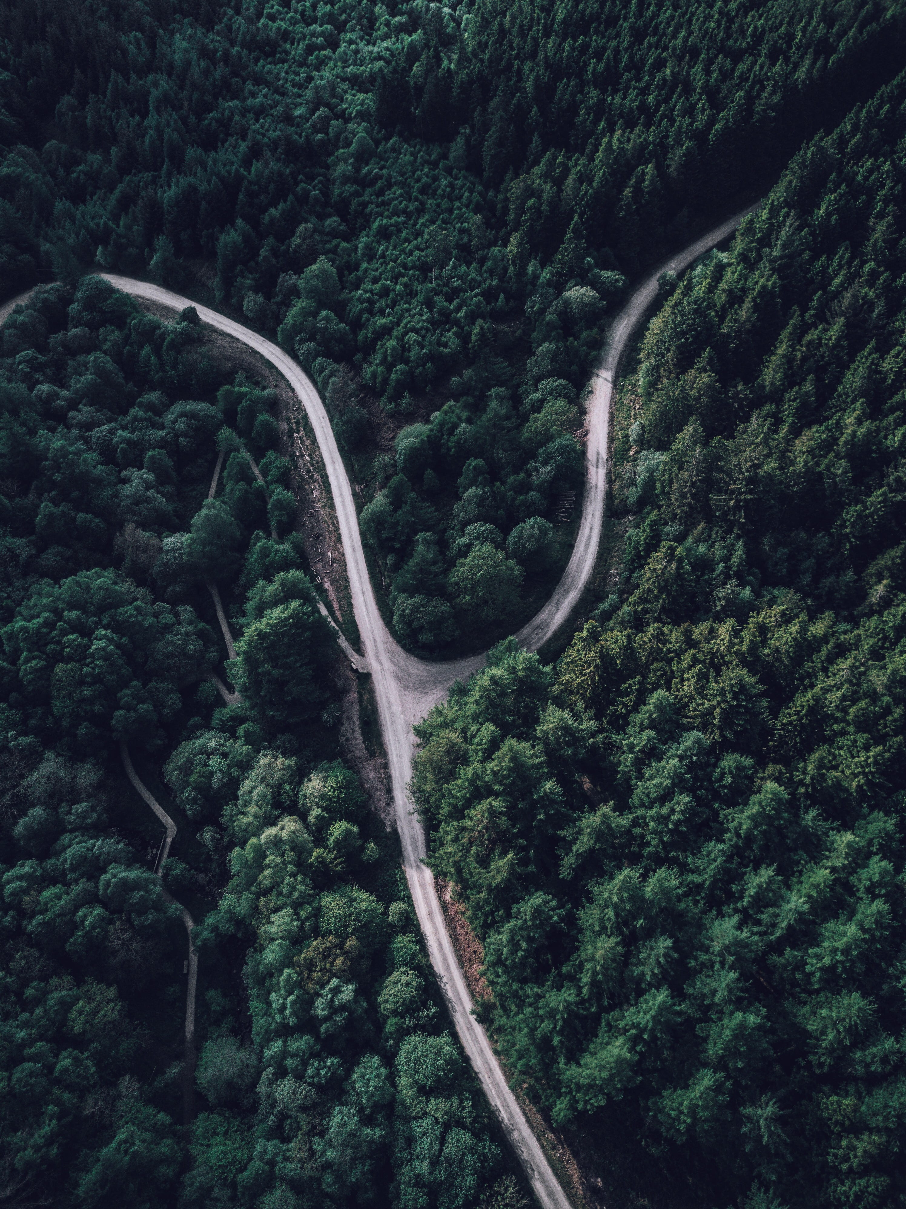 dji, plant, growth, pines, transportation, road fork, drone, mavic, winding road, land, aerial, road, day, high angle view, scenics - nature, no people, Phone HD Wallpaper