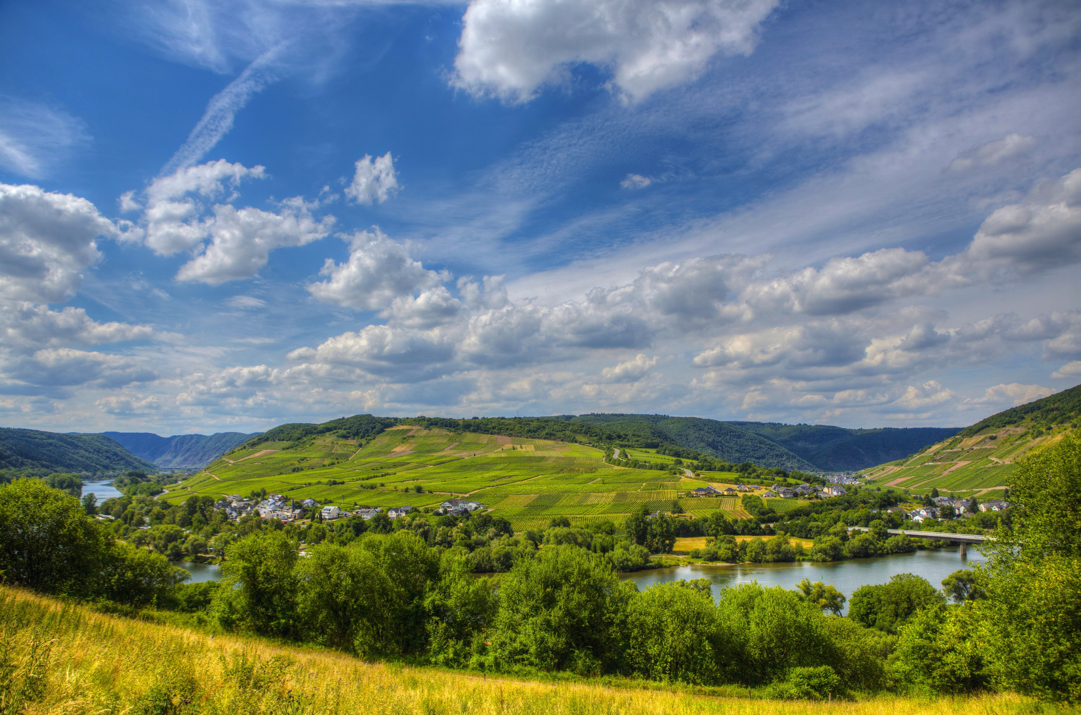 river, tress, Sinsheim, nature, sky, photo, view, trees, Germany, mountain, 2K, lot, landscape, HD Wallpaper
