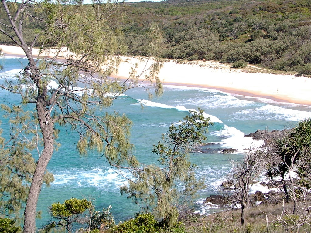 water, nature, beach, hd, 480P, body, sunshine, coast, tress, noosa, HD Wallpaper